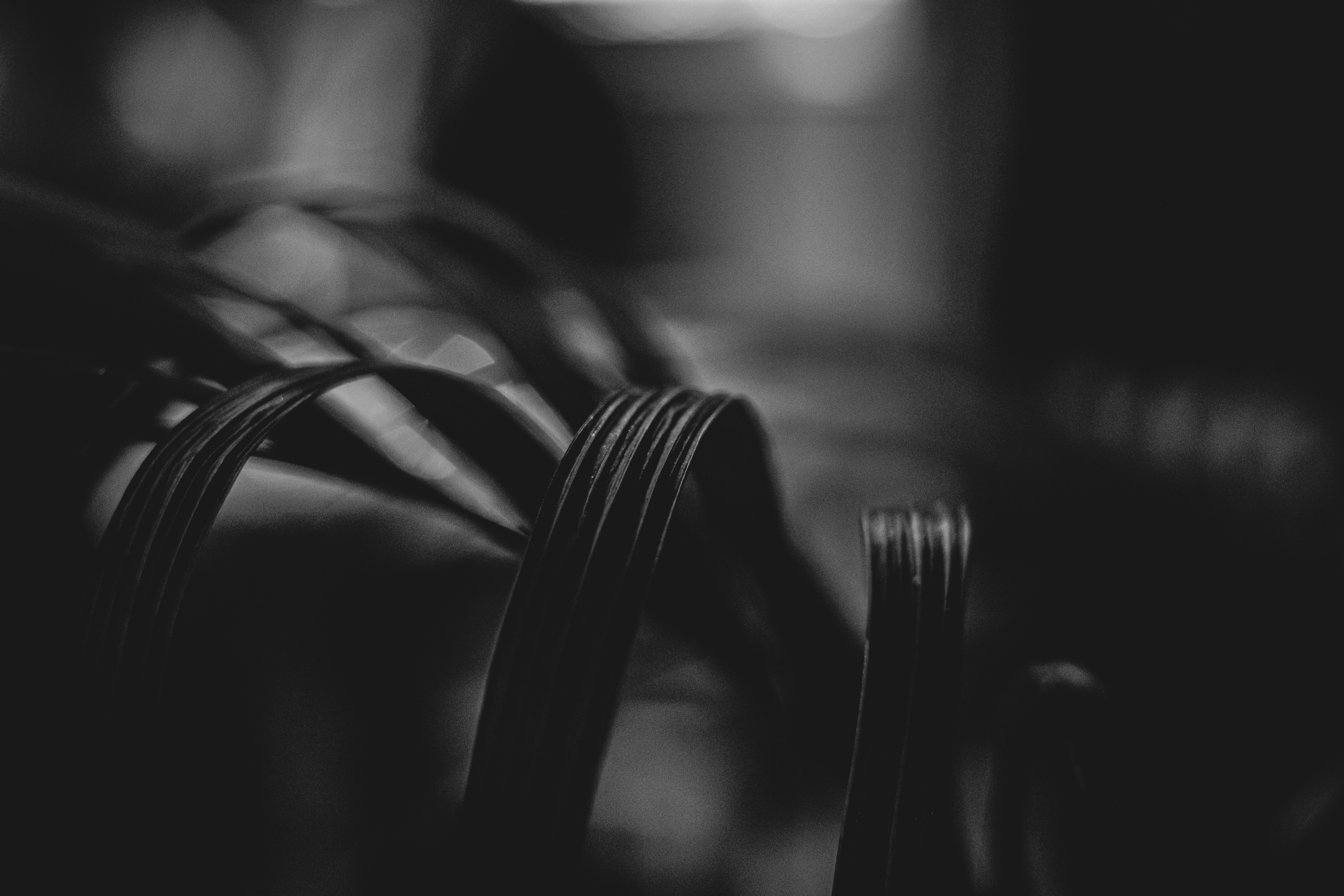 Photo by juniorv1996