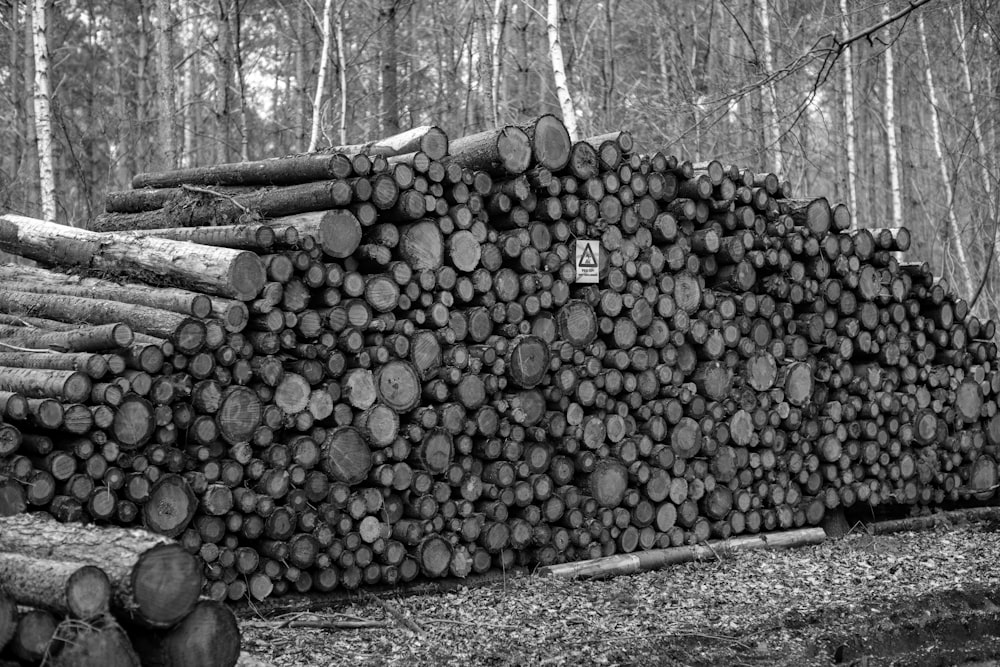 a pile of logs sitting in the middle of a forest