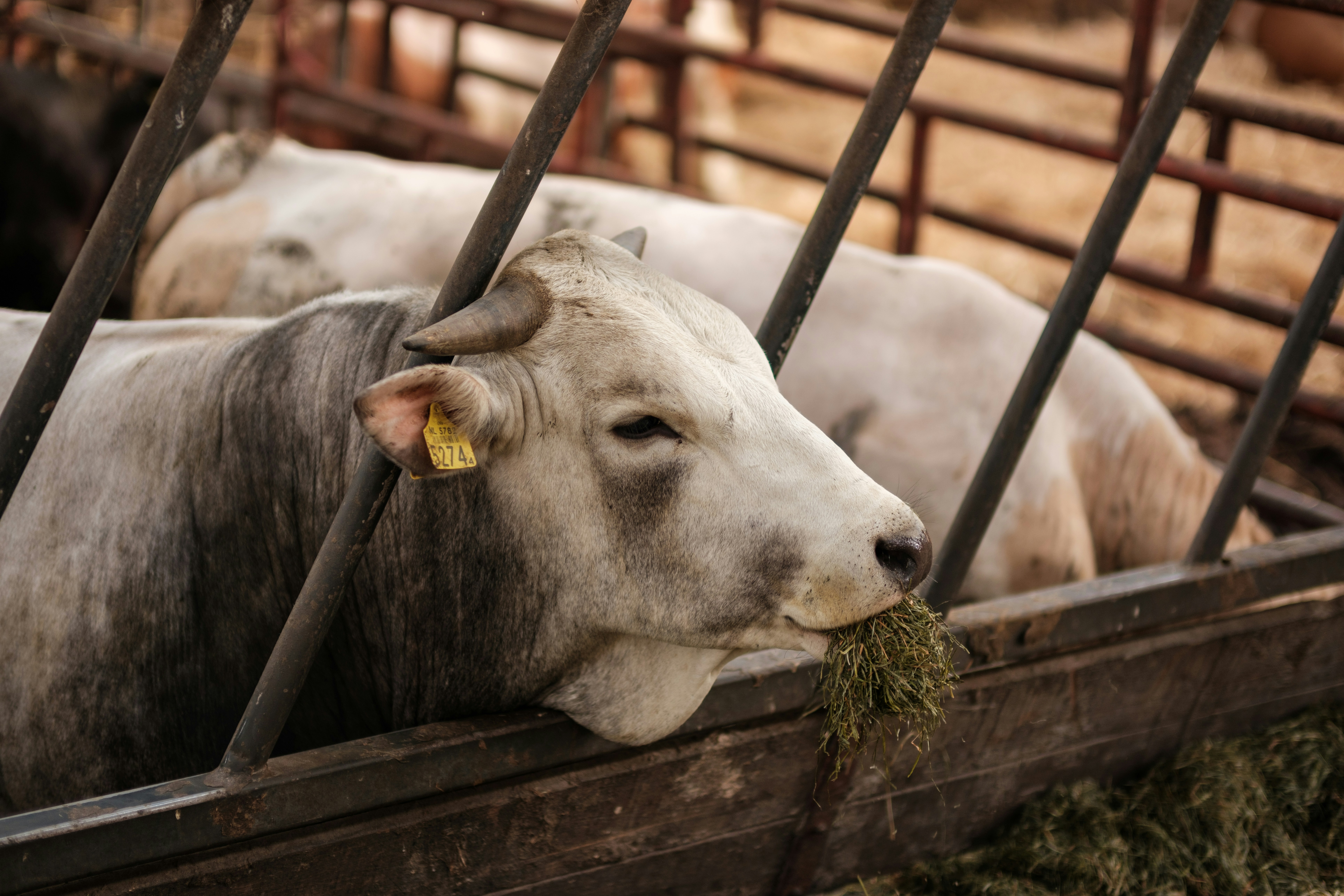 Photo by haberdoedas2