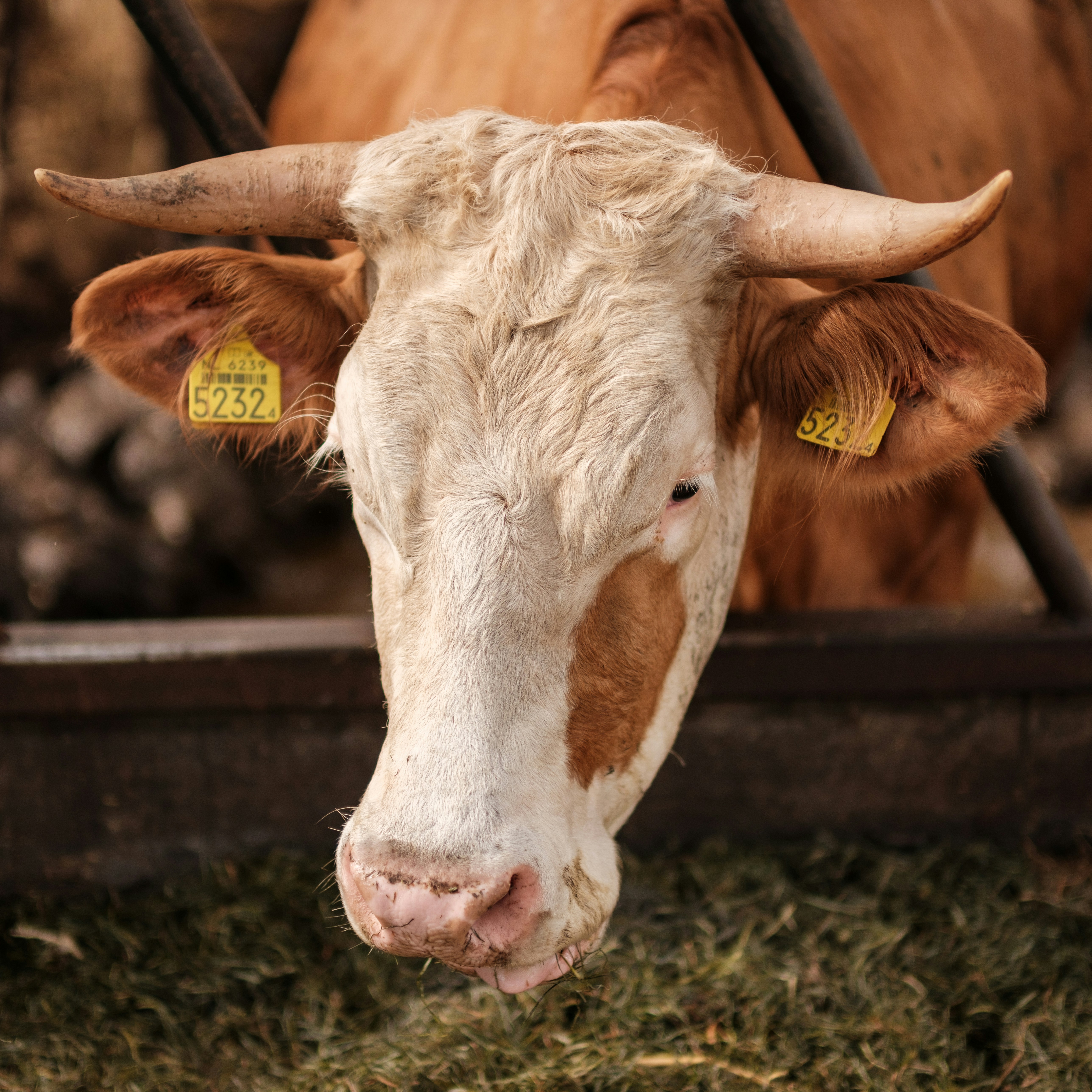 Photo by haberdoedas2