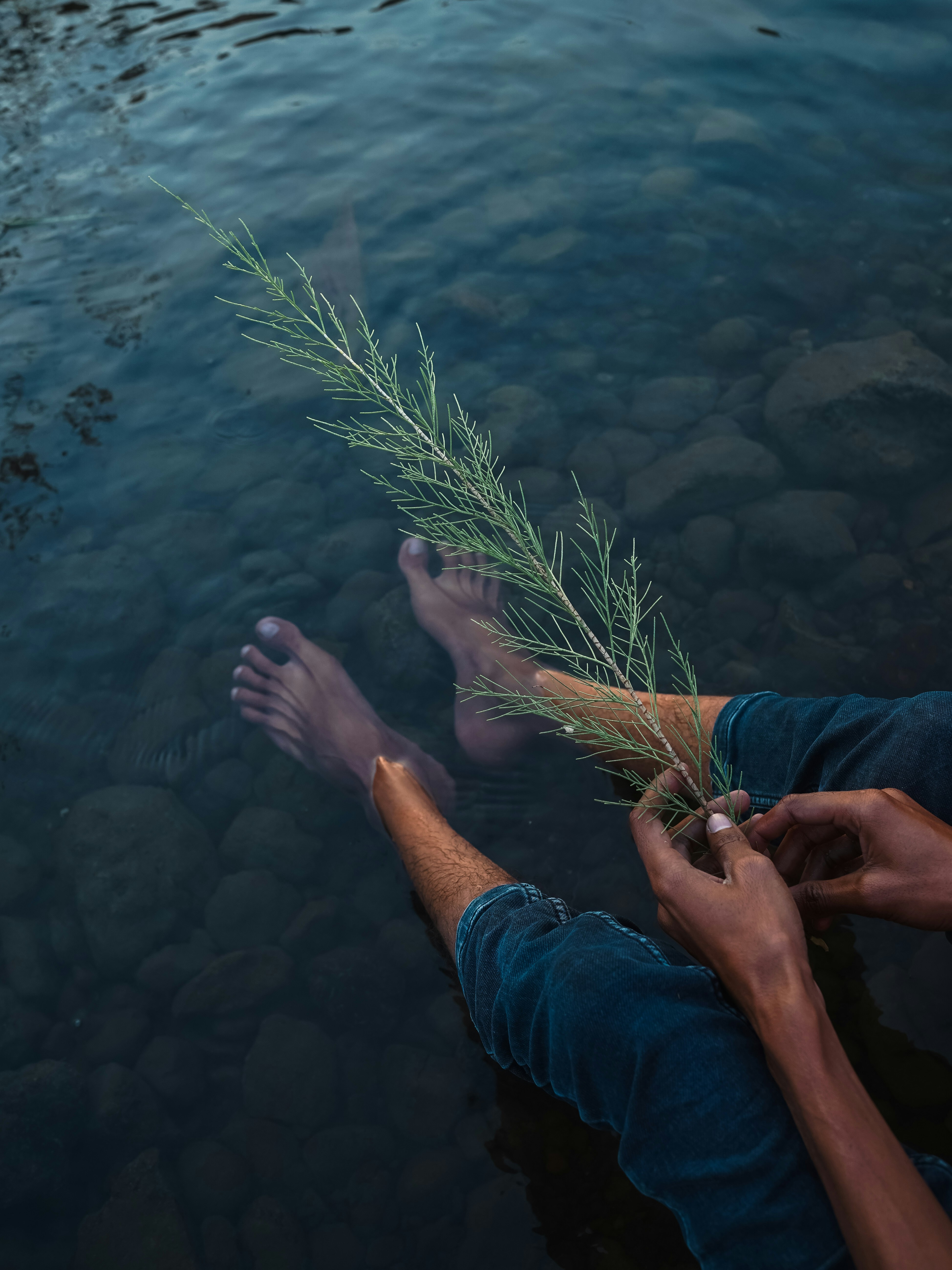 a man is holding a plant in his hand