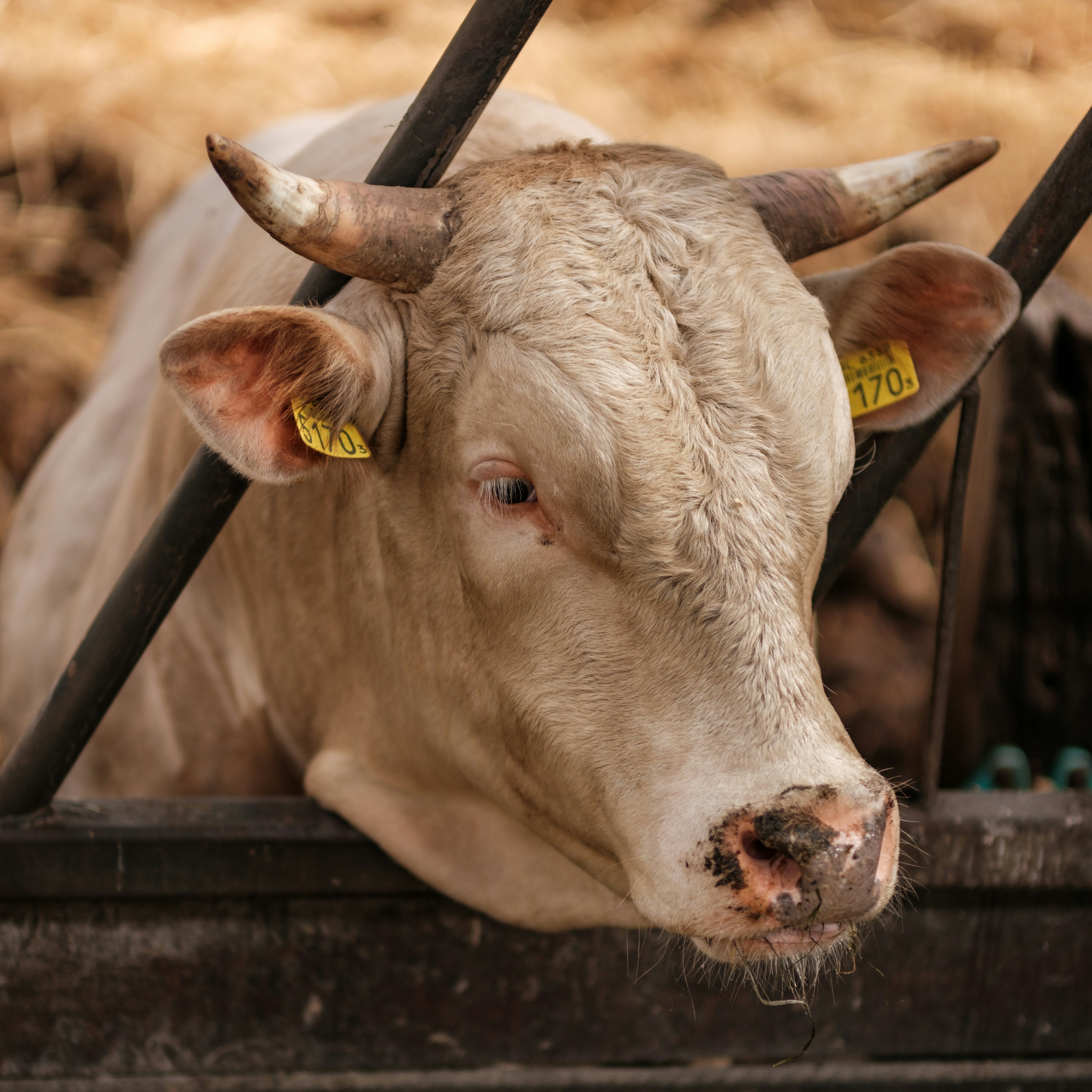 Photo by haberdoedas2