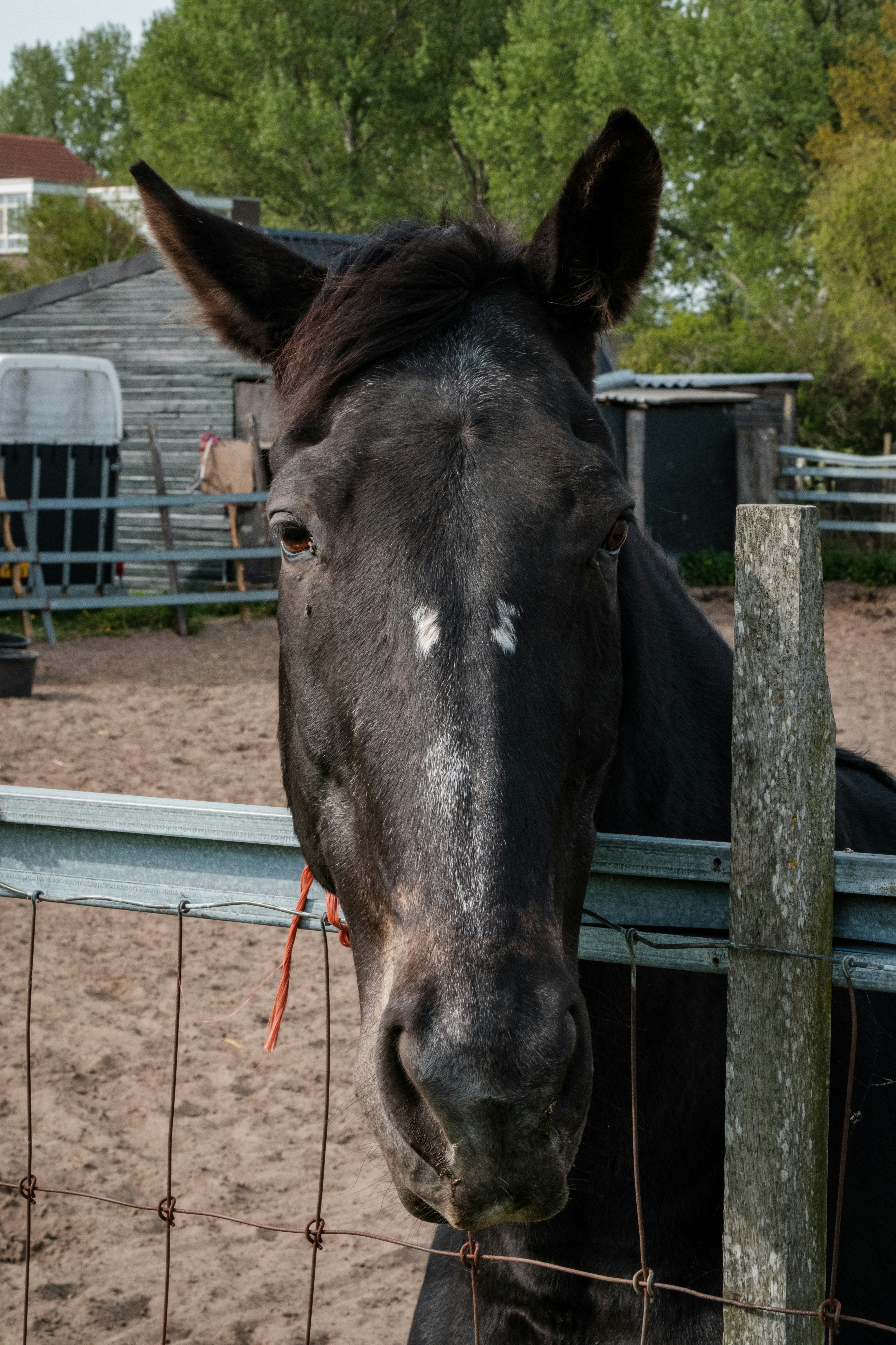 Photo by haberdoedas2