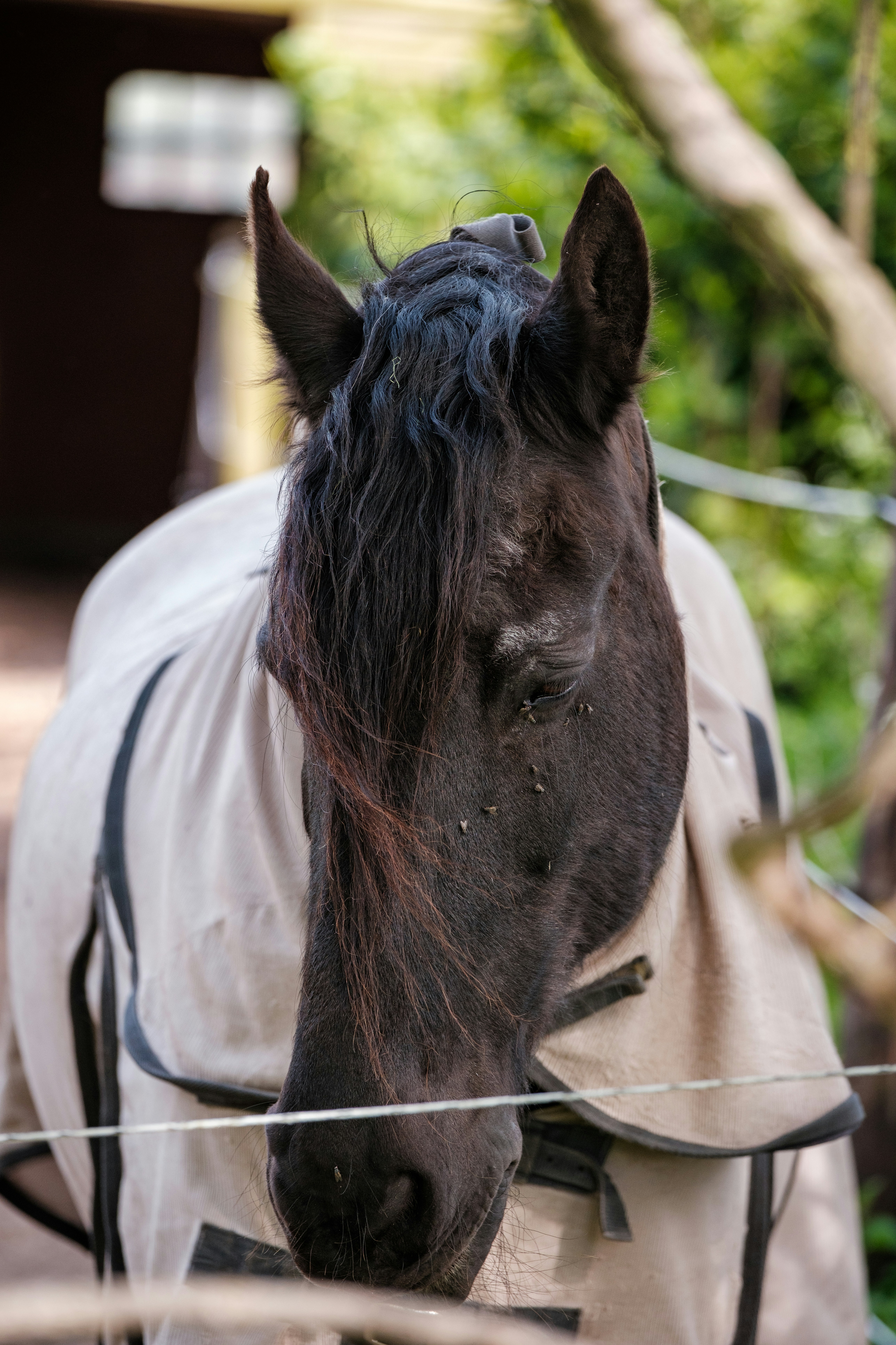 Photo by haberdoedas2