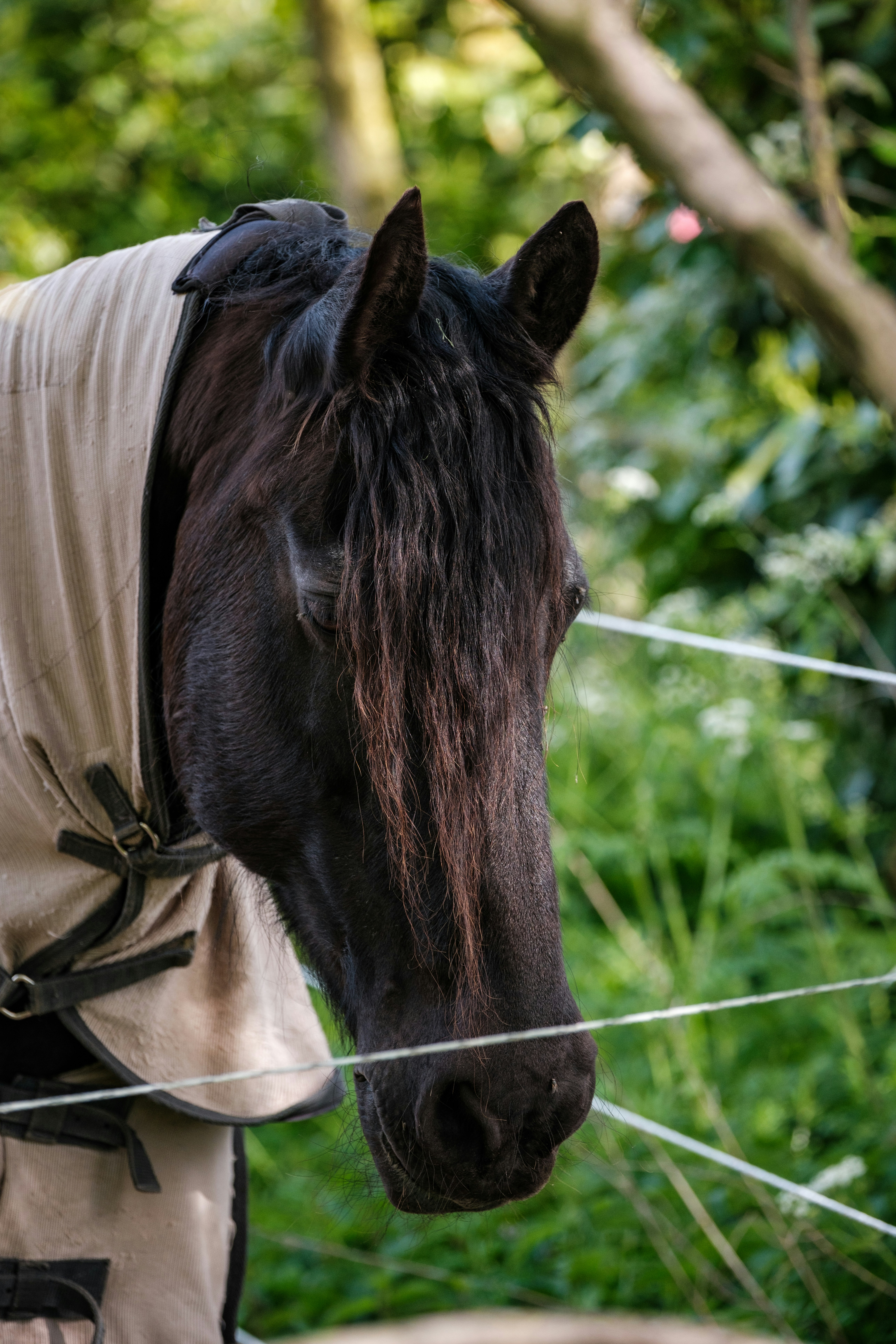 Photo by haberdoedas2