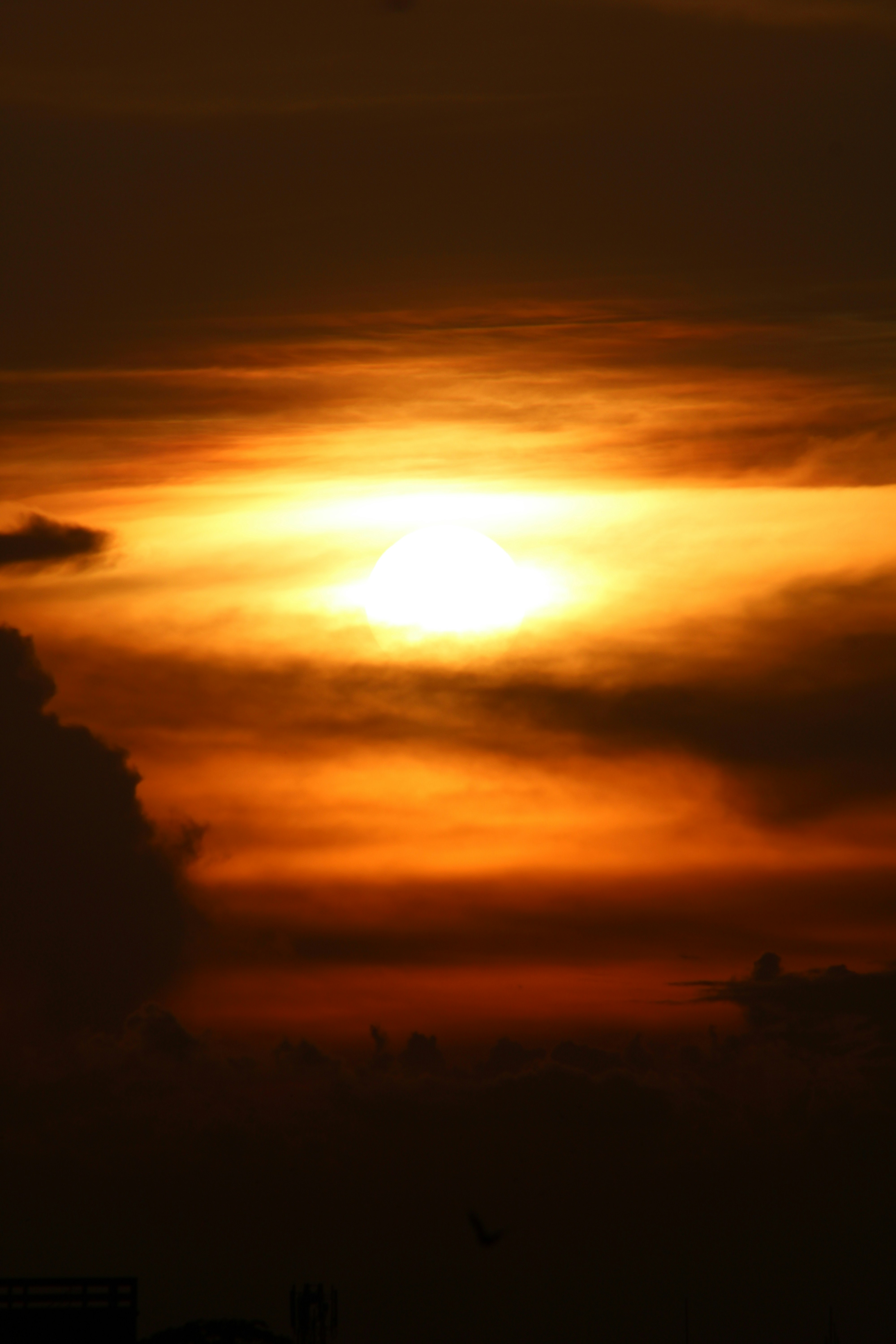 Photo by photoloveramico