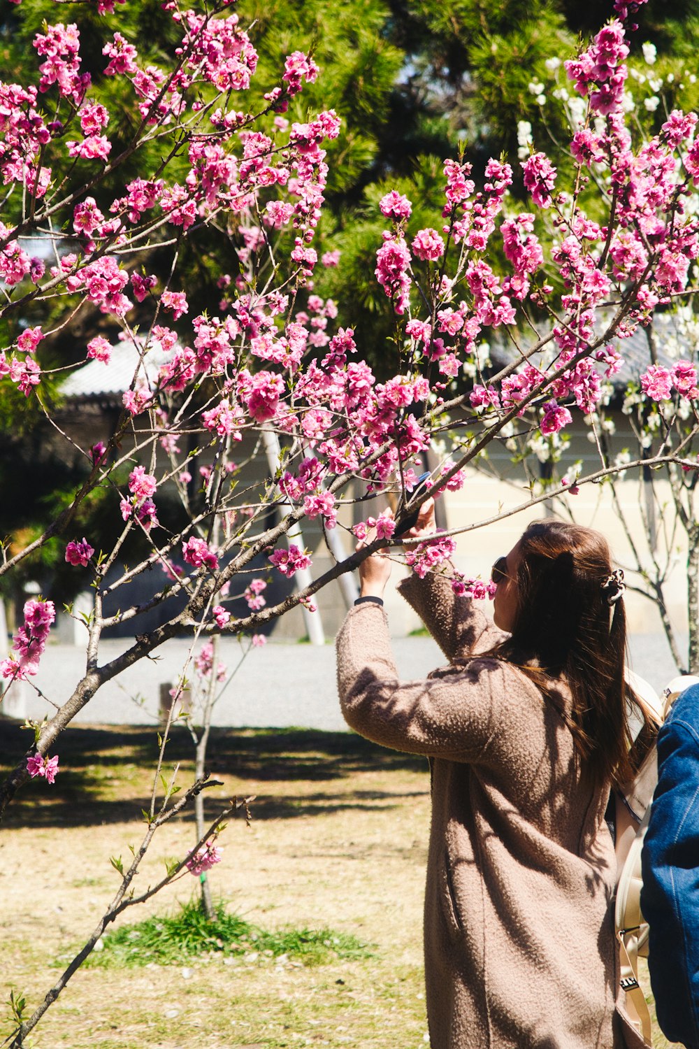 a woman in a brown coat is picking flowers from a tree