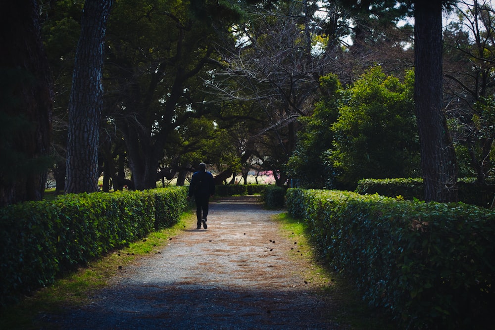 a person walking down a path in a park