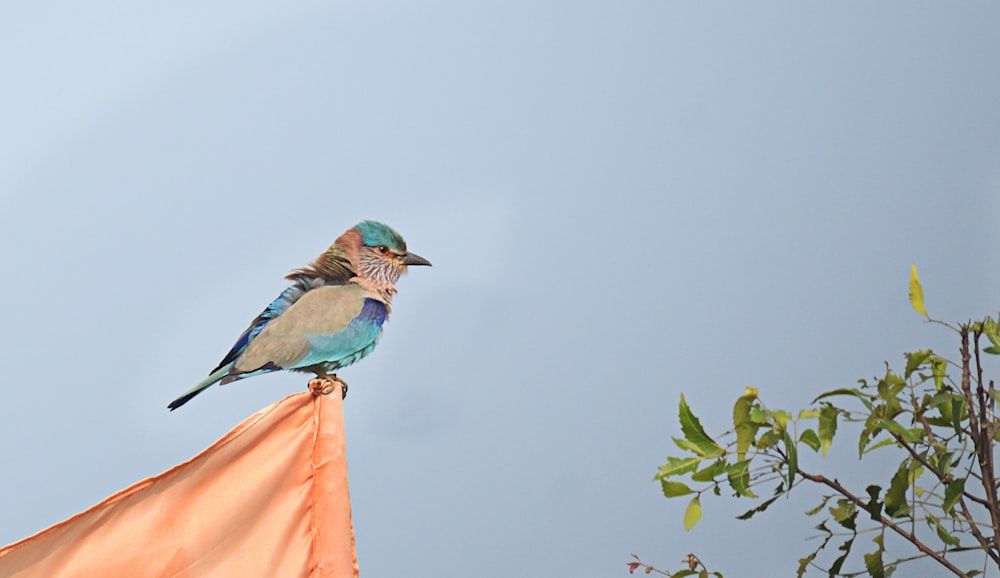 a small bird perched on top of a flag