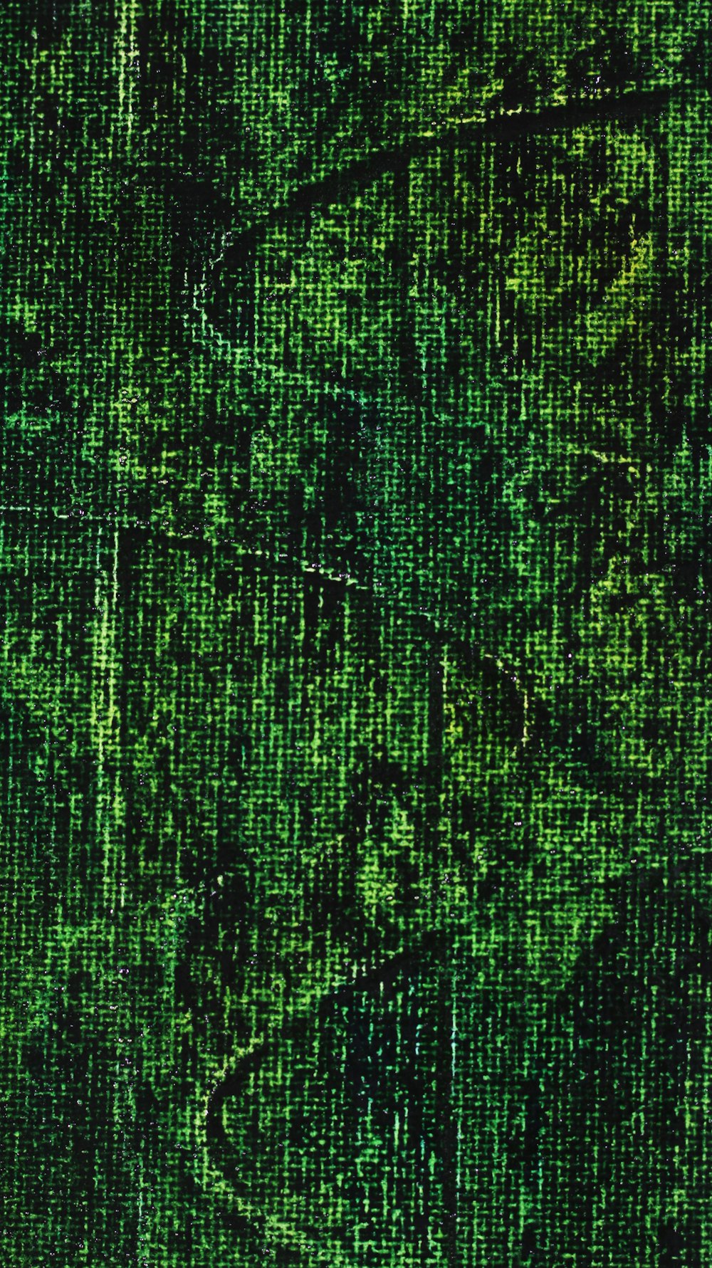 a close up of a green textured background