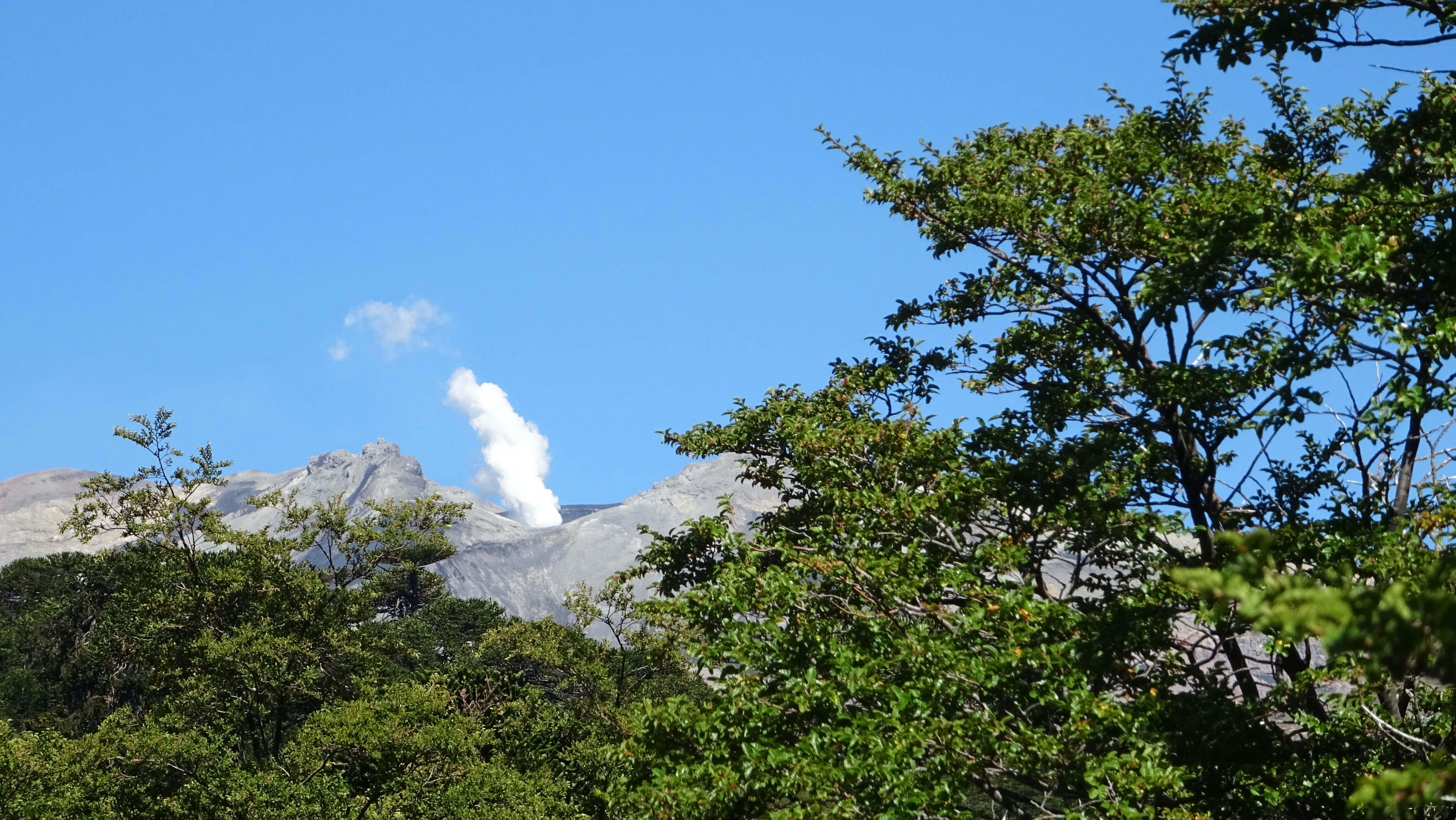 a view of a mountain range through the trees