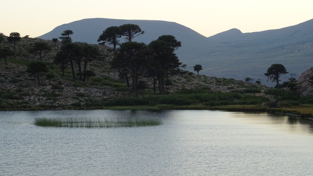 a body of water surrounded by mountains and trees