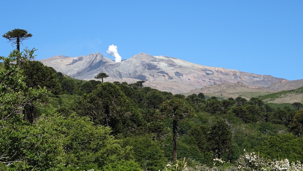 a view of a mountain with a cloud in the sky