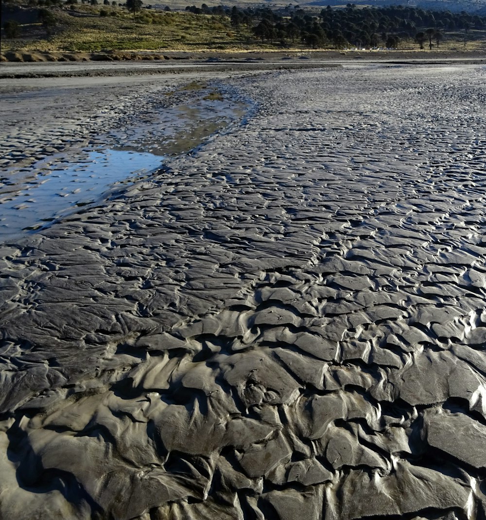 a large body of water sitting next to a sandy beach