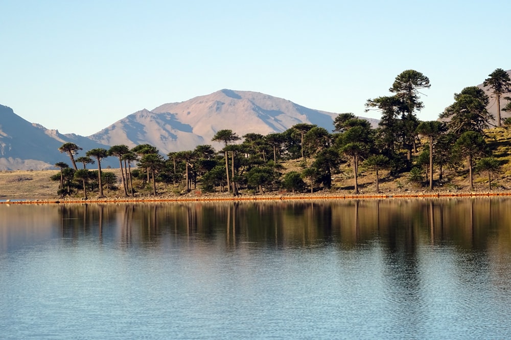 a body of water with trees and mountains in the background