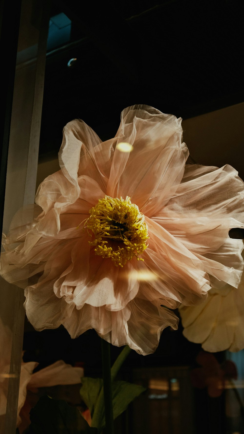 a close up of a flower in a vase