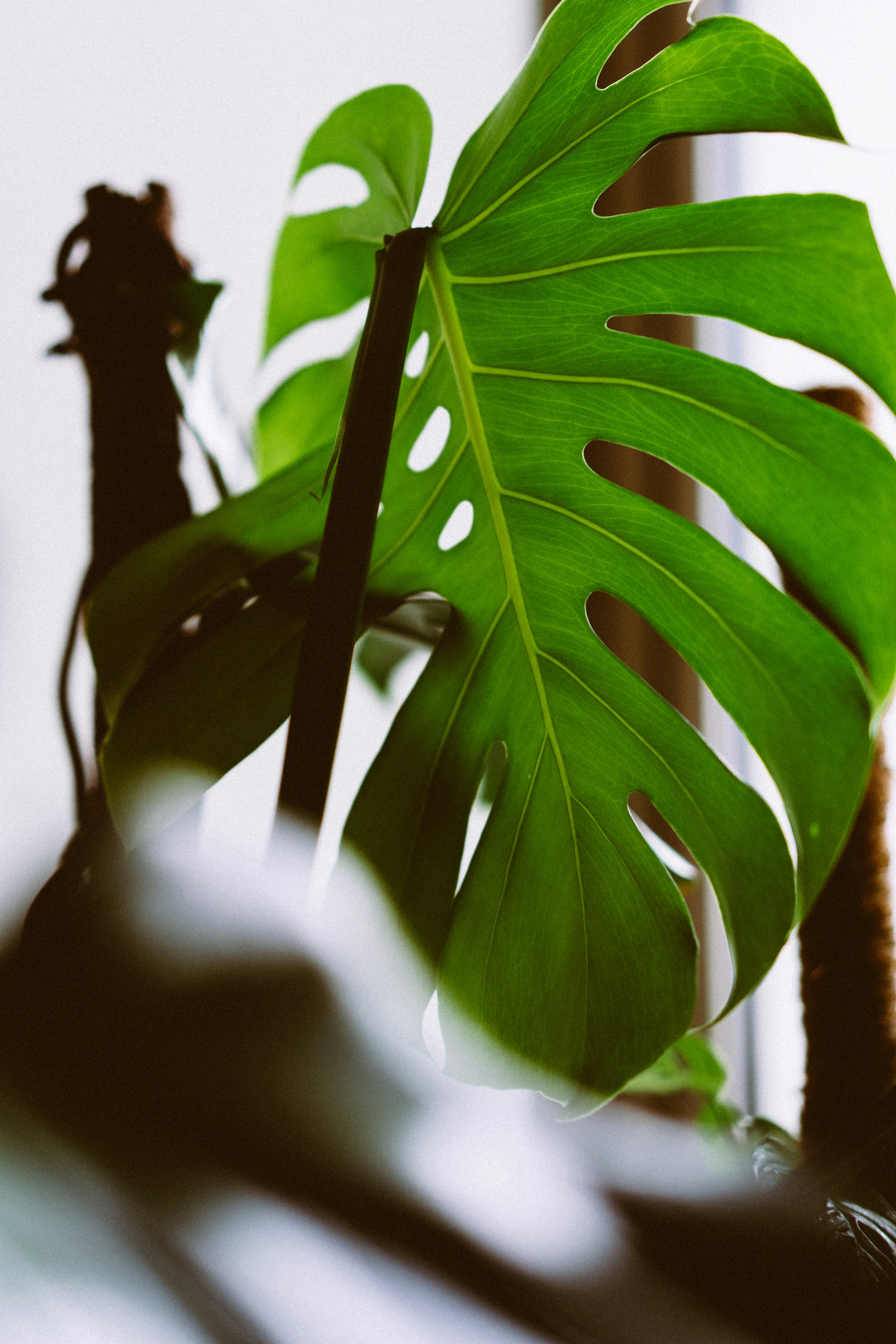 Photo by philhearing