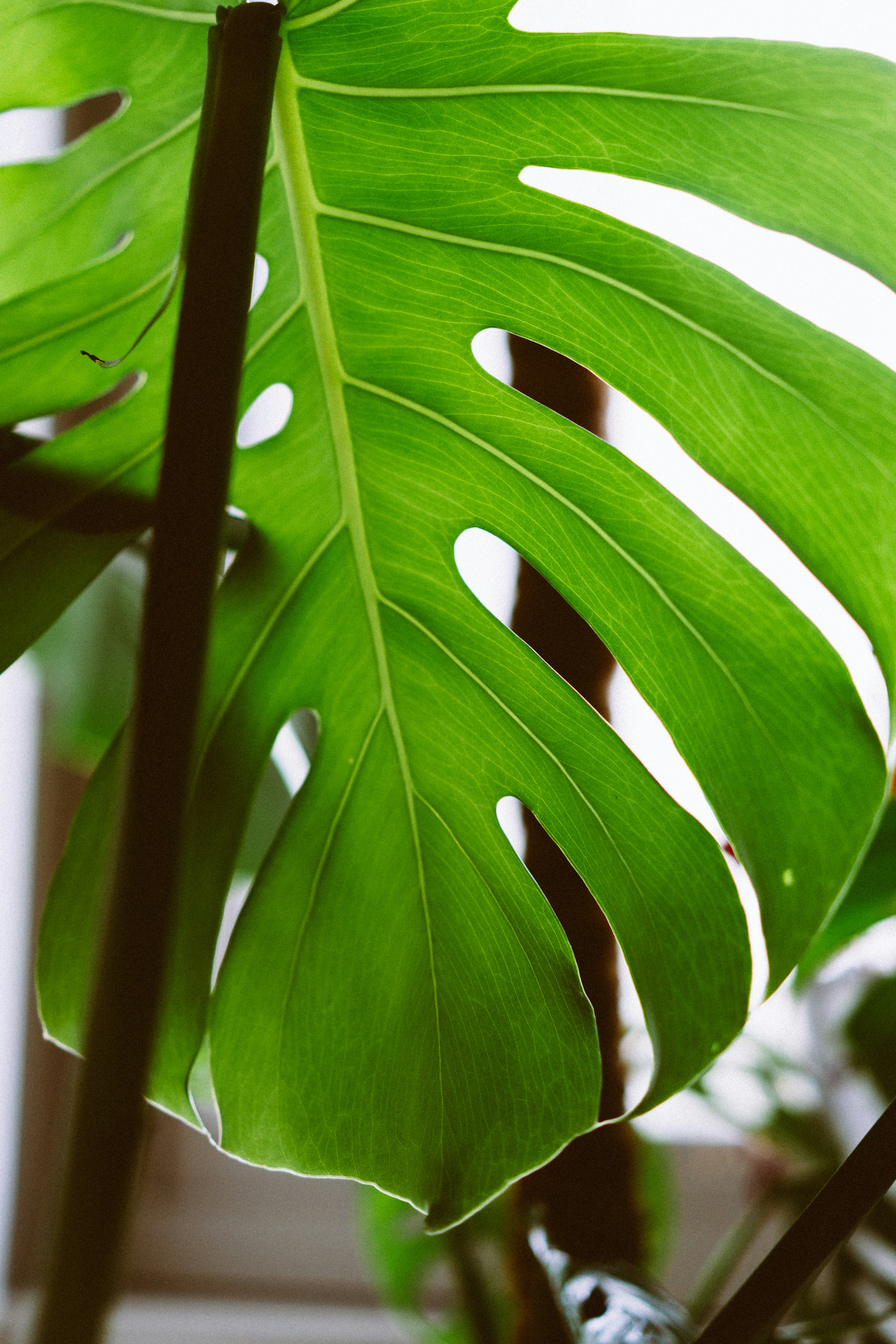 Photo by philhearing