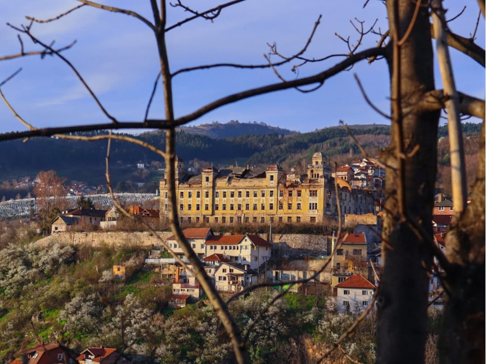 a view of a city with a castle in the background