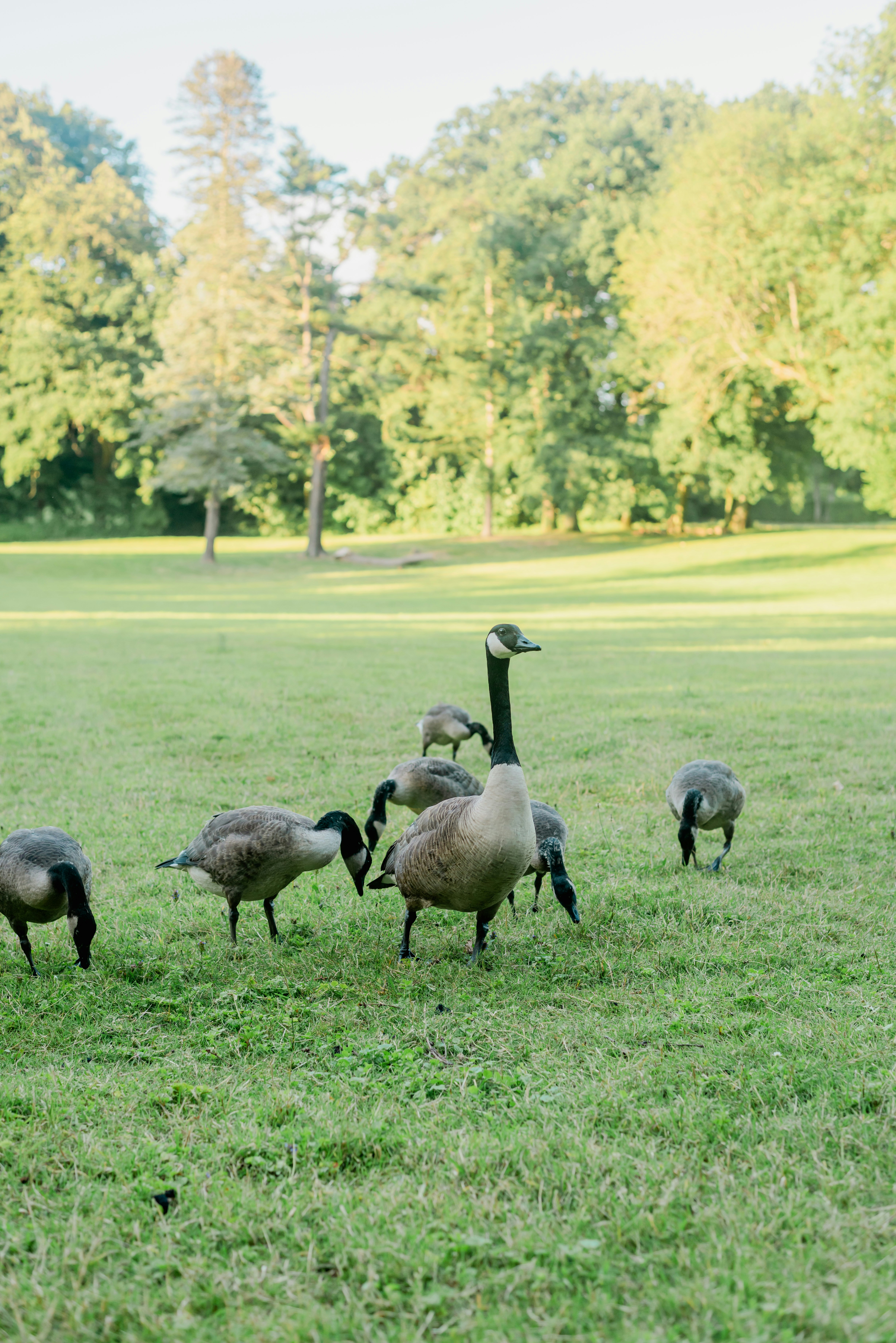 Photo by eugenivy_now