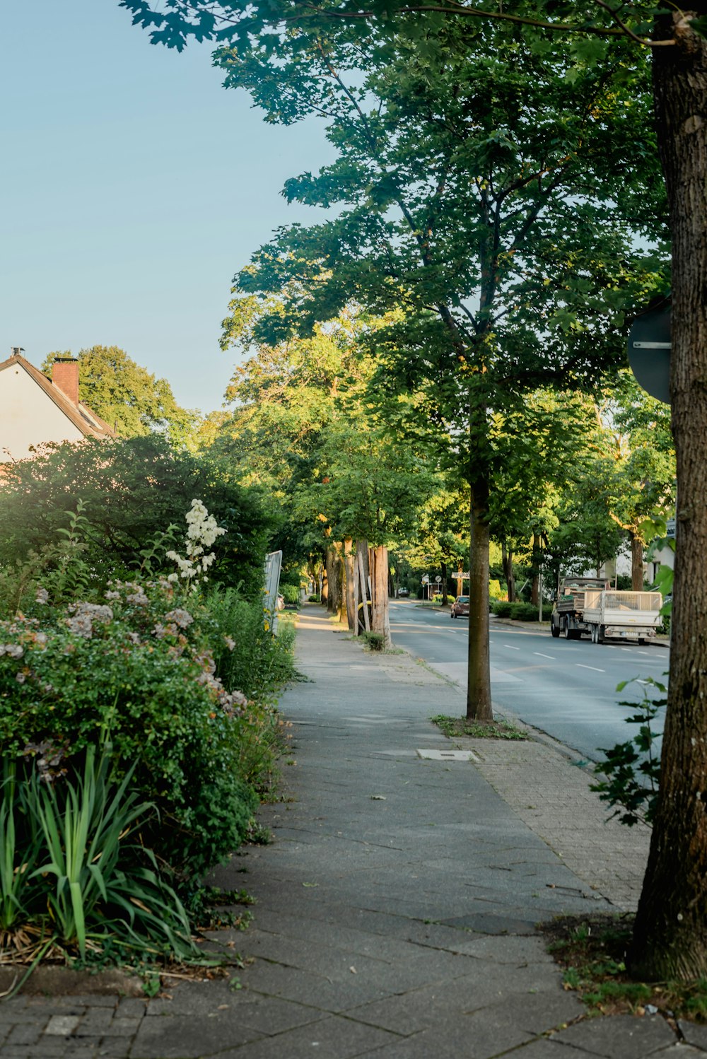 a sidewalk next to a tree lined street