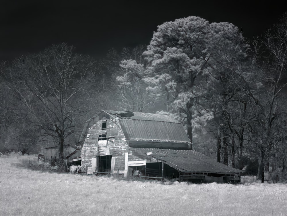 Barn, Dothan, Alabama