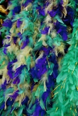 a close up of a bunch of feathers