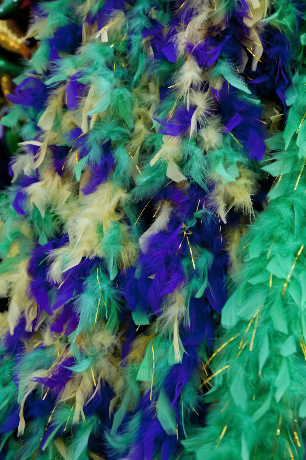 a close up of a bunch of feathers