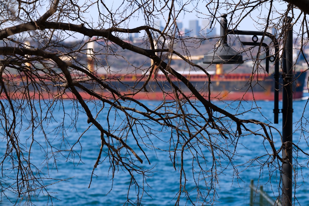 a boat is in the water behind a tree