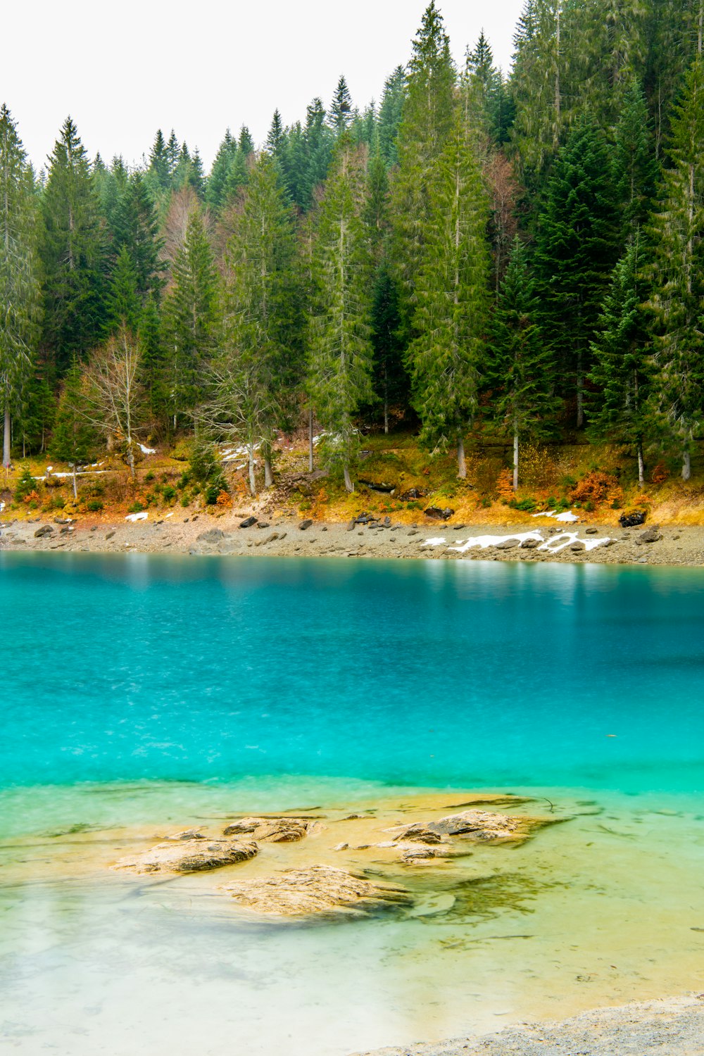 a body of water surrounded by trees and rocks