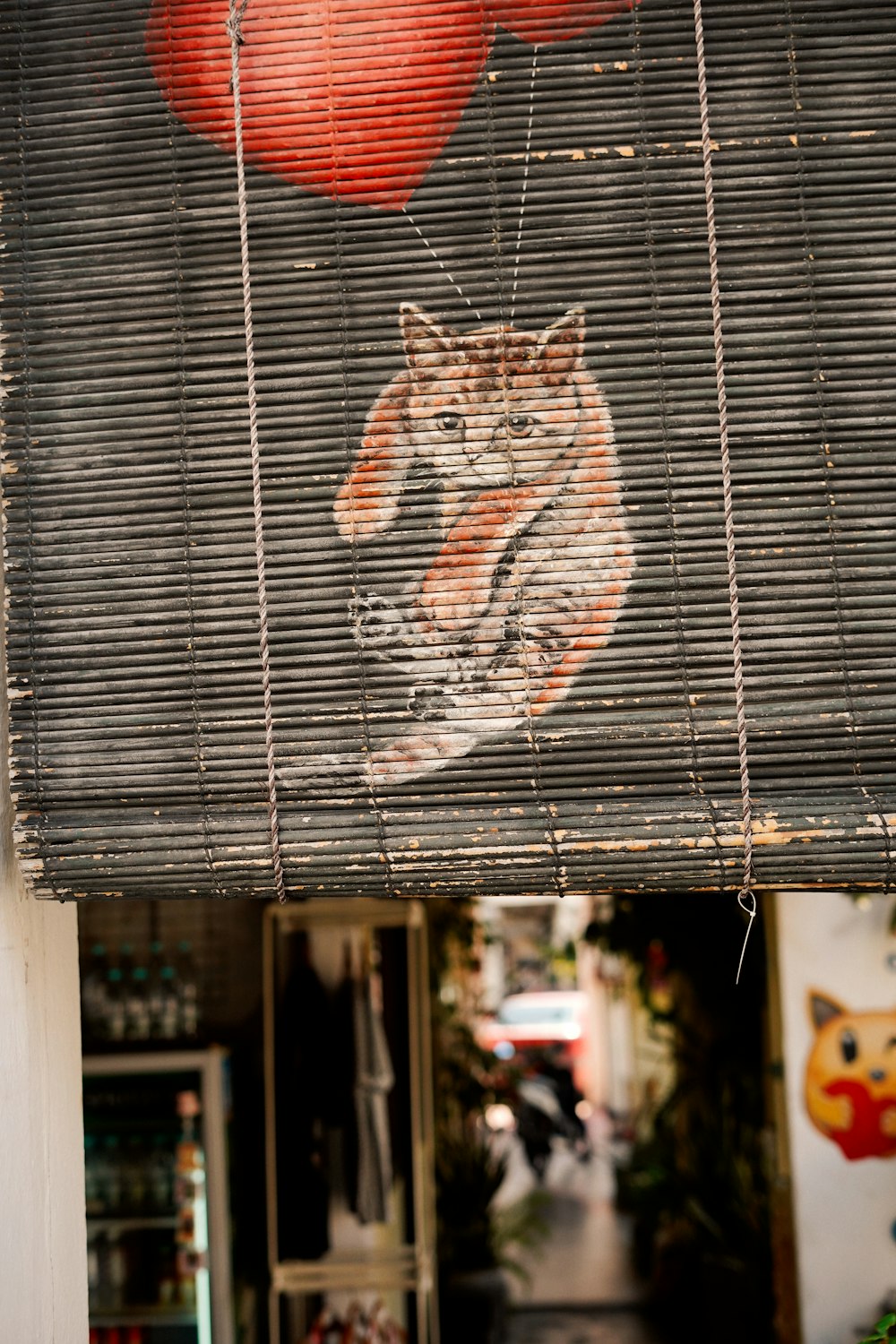 a picture of a cat on a window covering