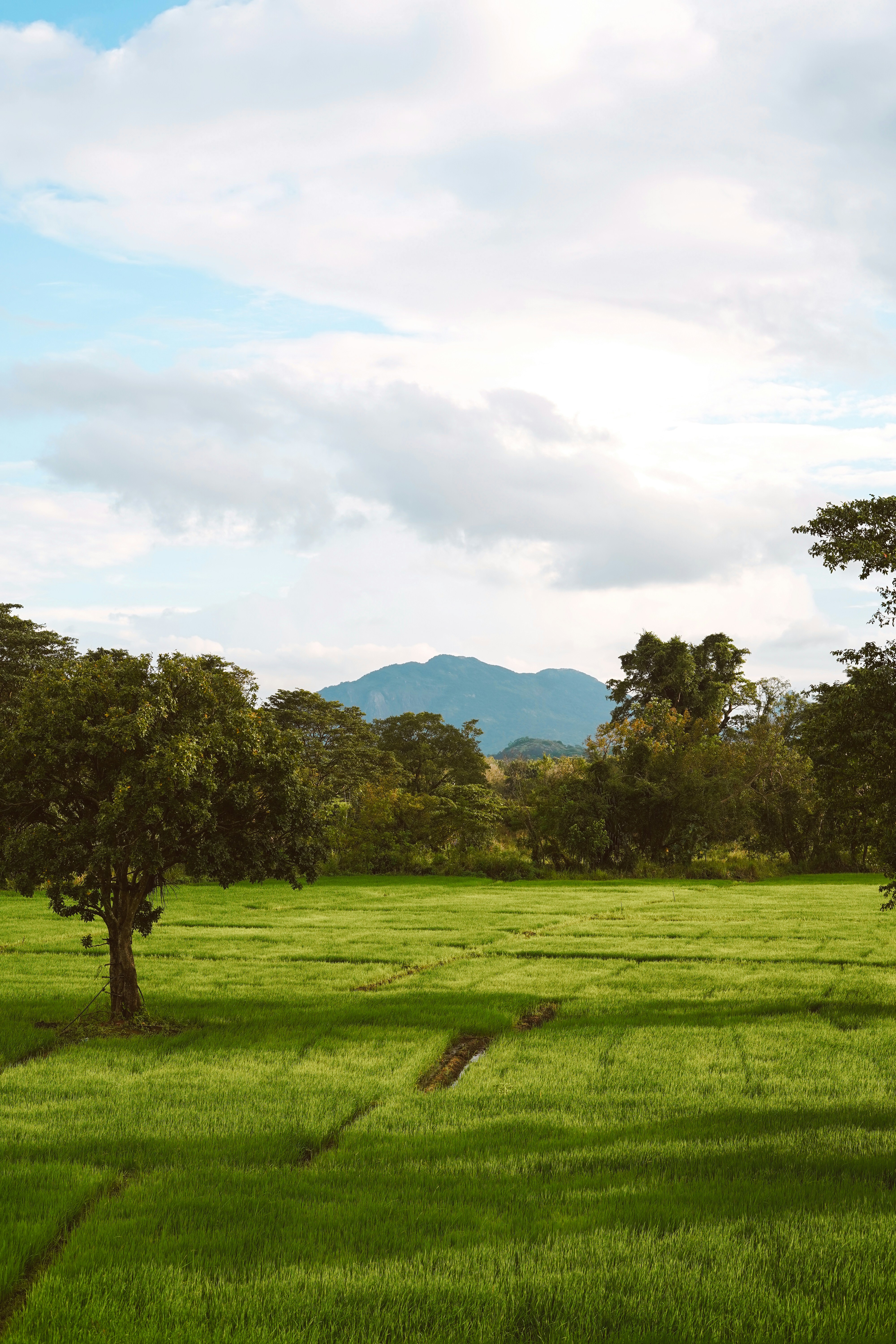 Photo by murpstudios