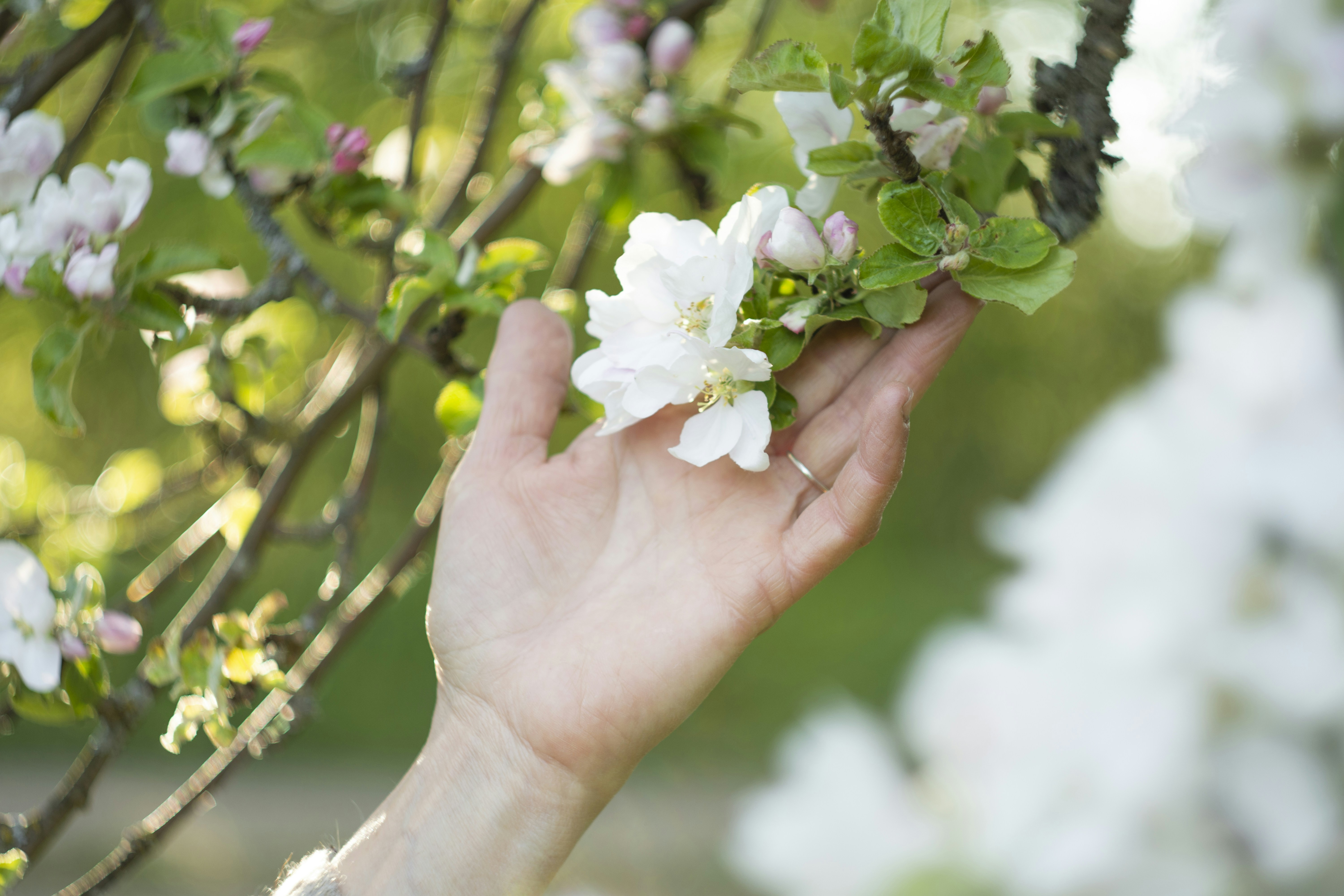 Photo by the_meaning_of_love