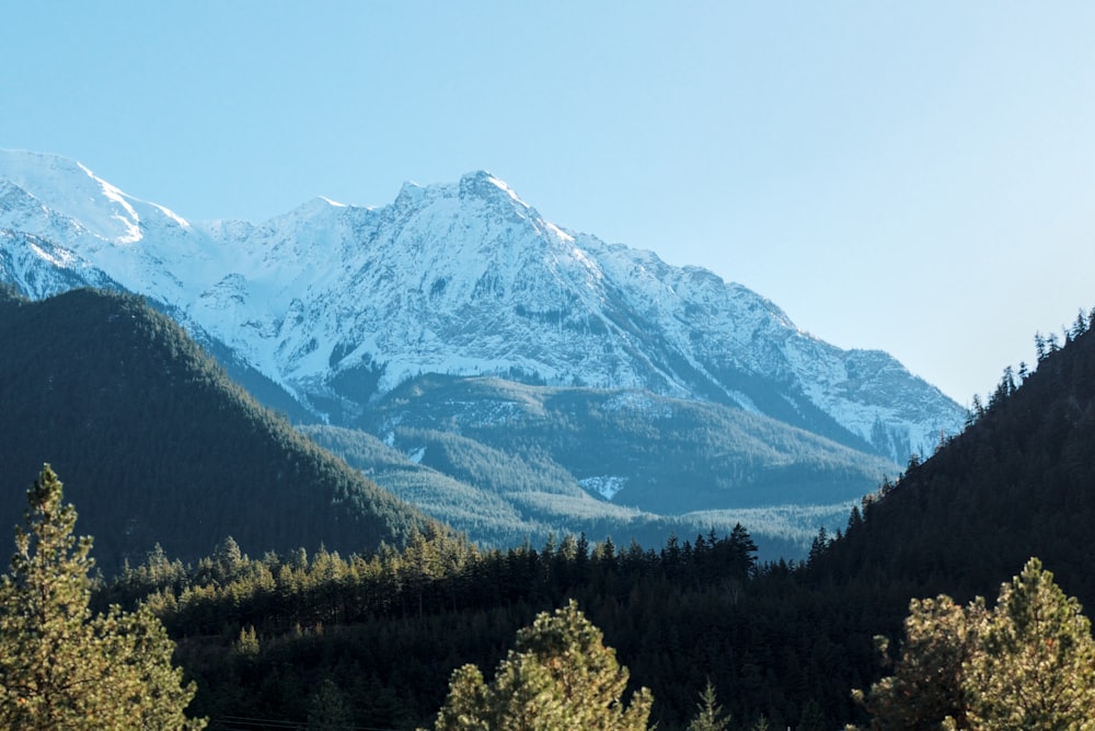 a view of a mountain range with trees in the foreground