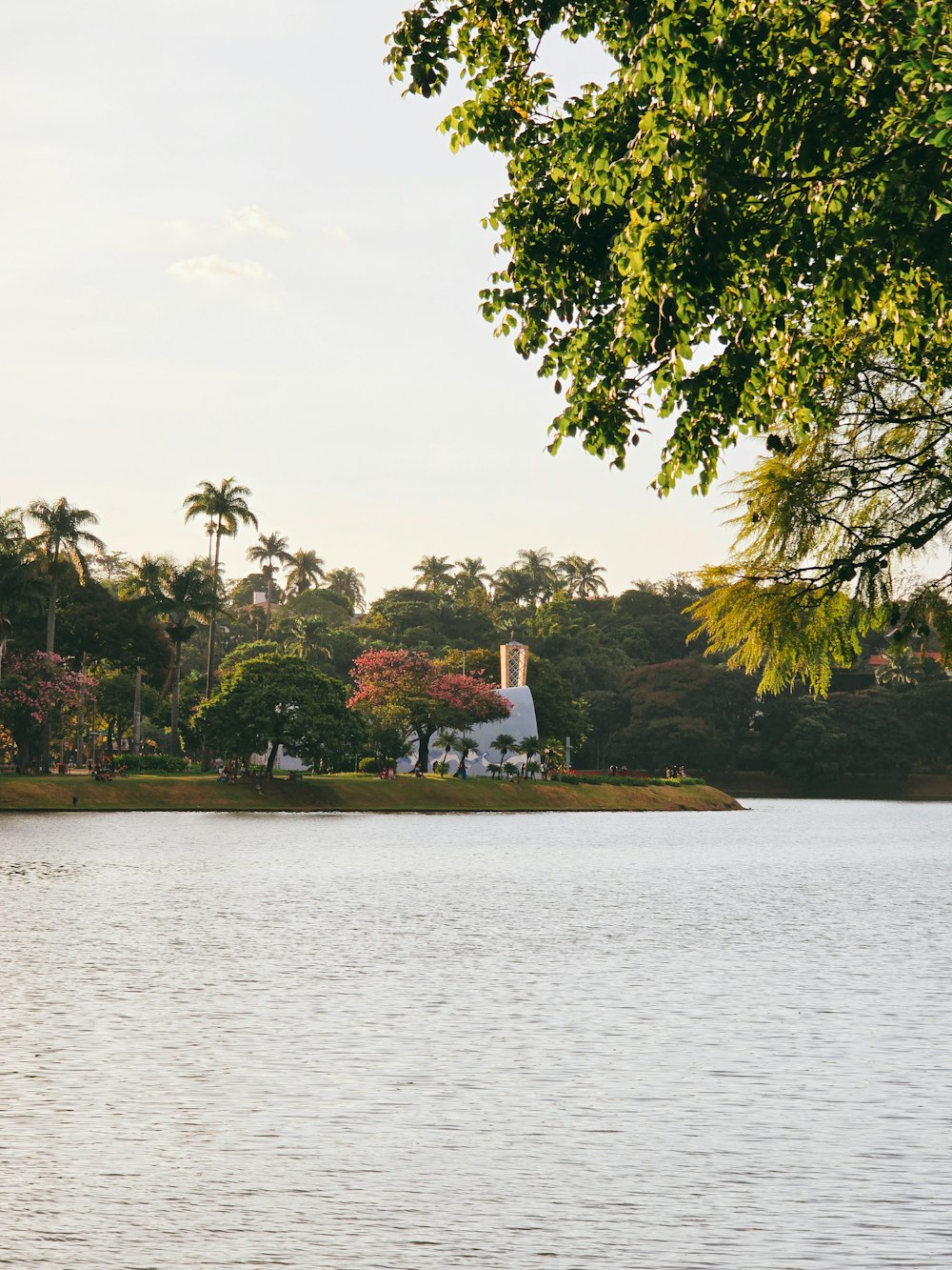 a large body of water surrounded by trees