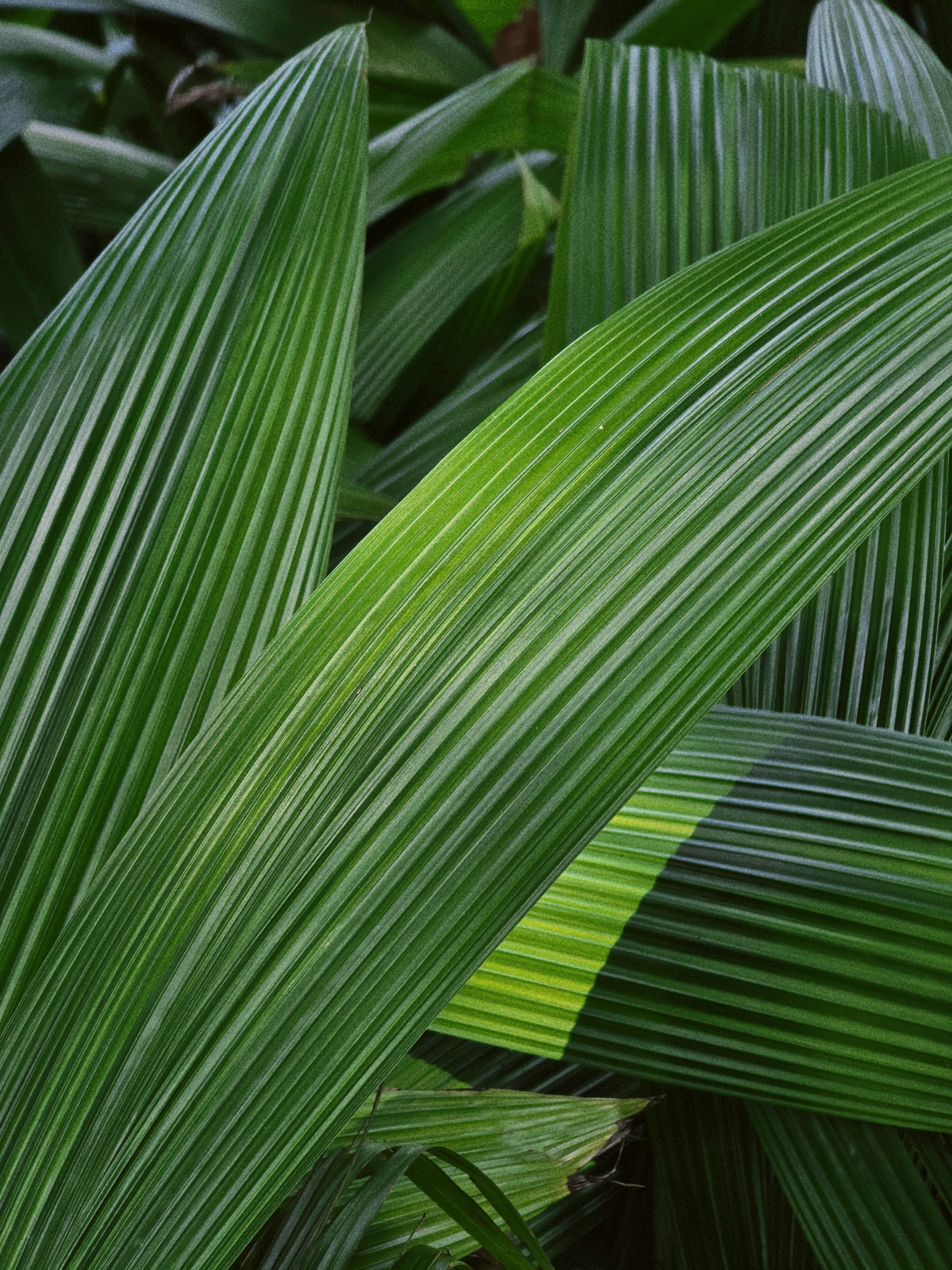 Photo by claitonconto