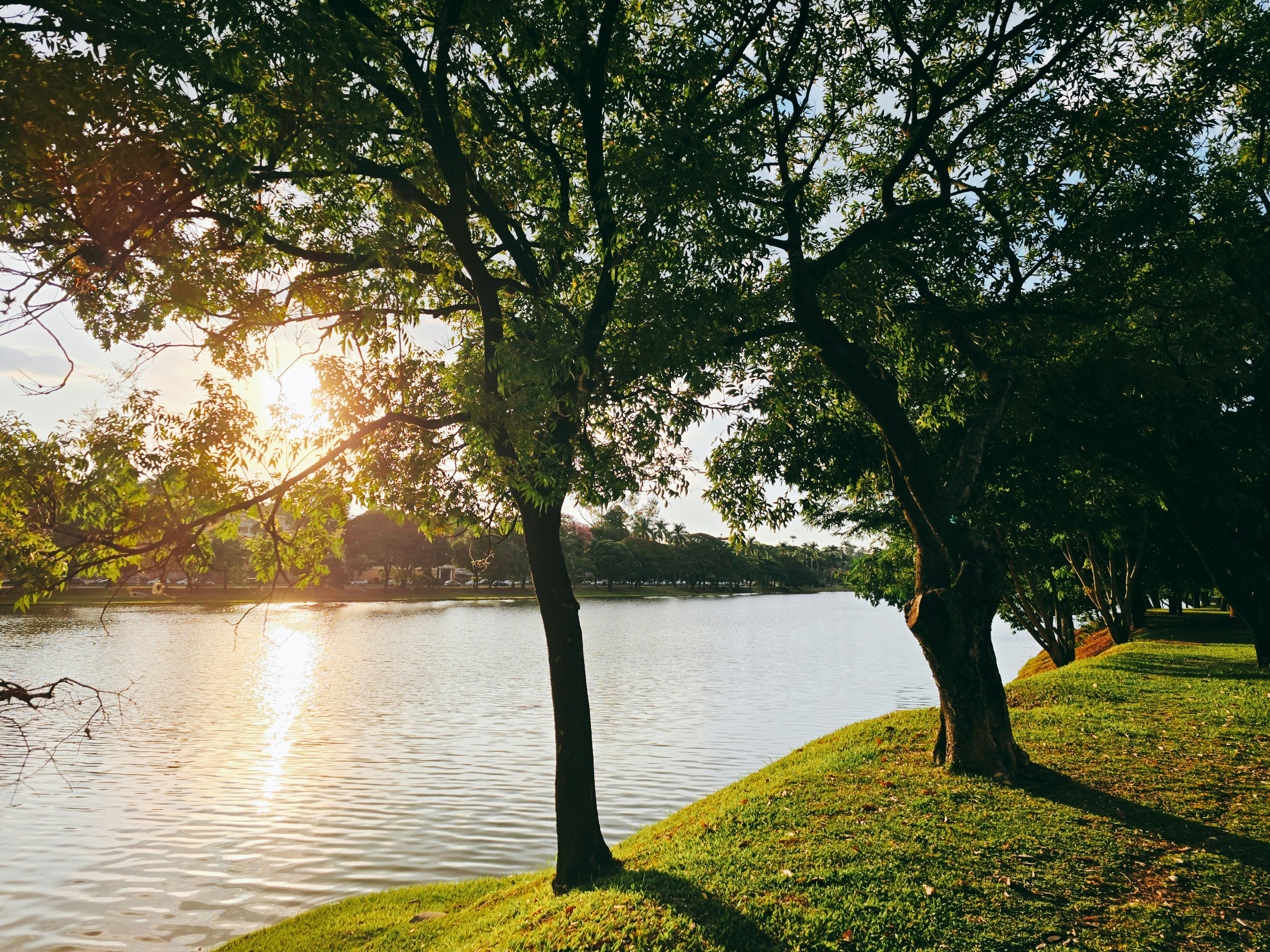 Photo by claitonconto