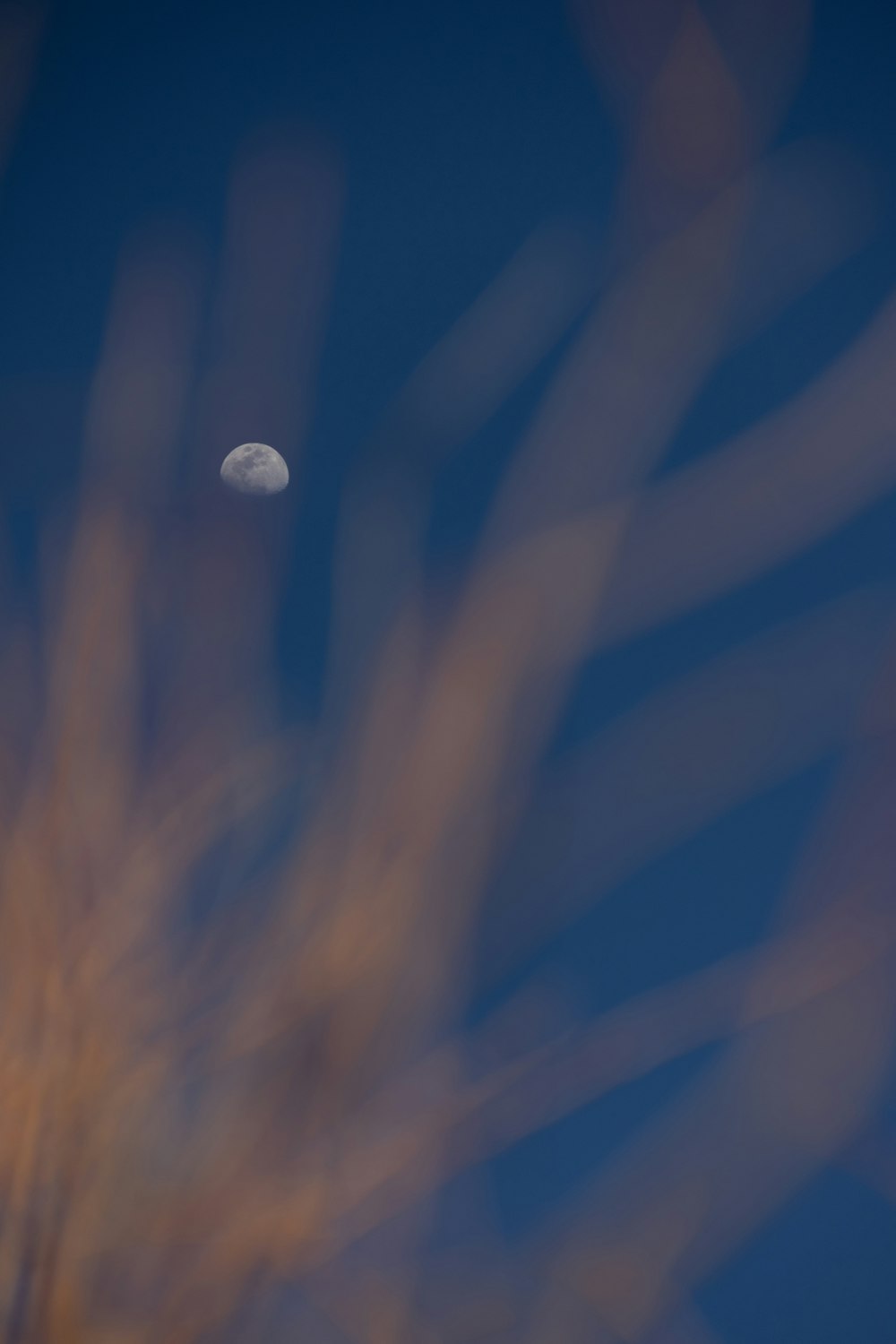 a blurry photo of the moon in the sky