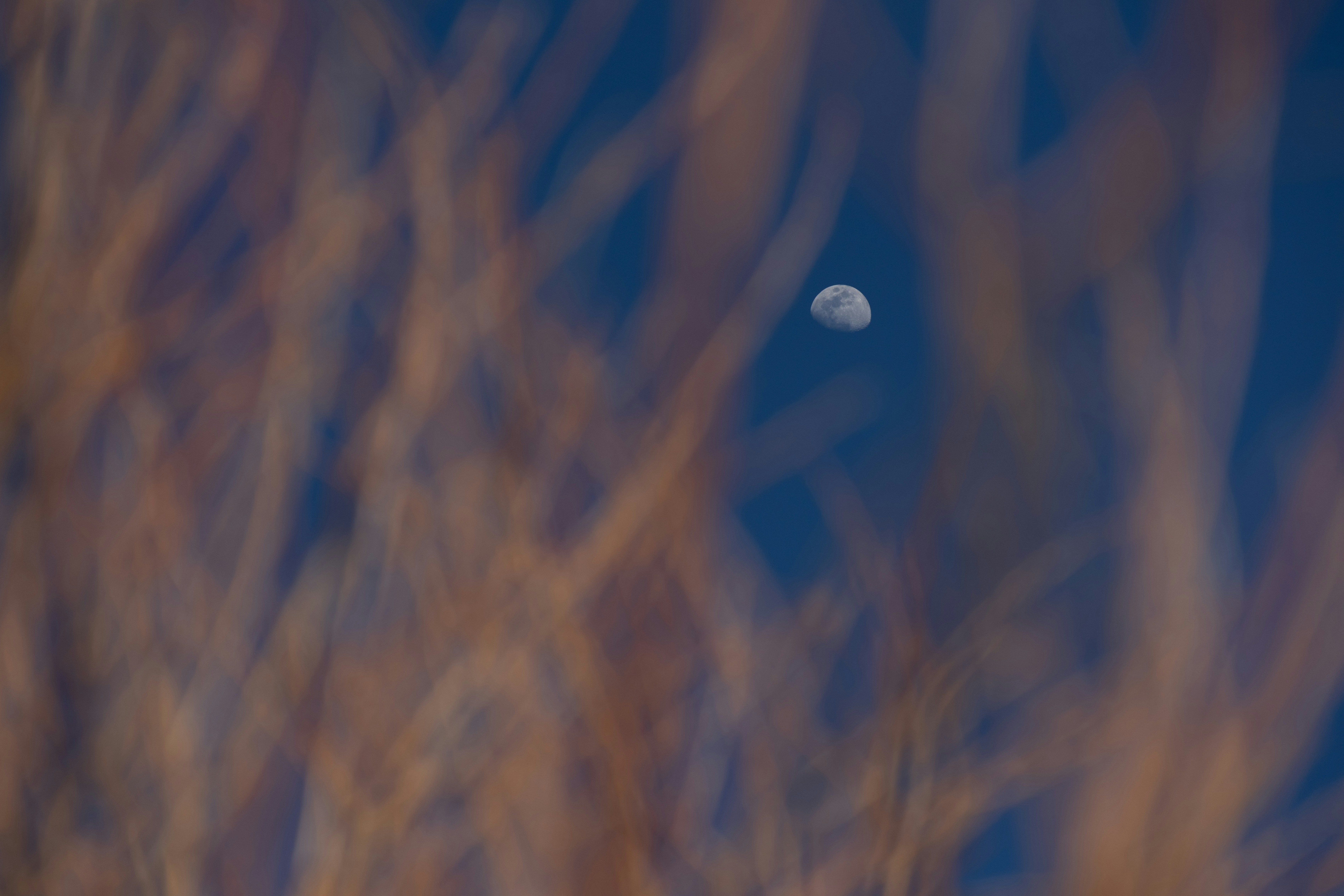 Photo by brandonstoll