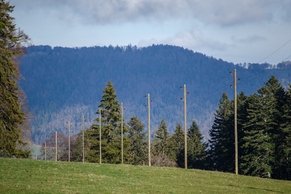 a grassy field with trees and mountains in the background