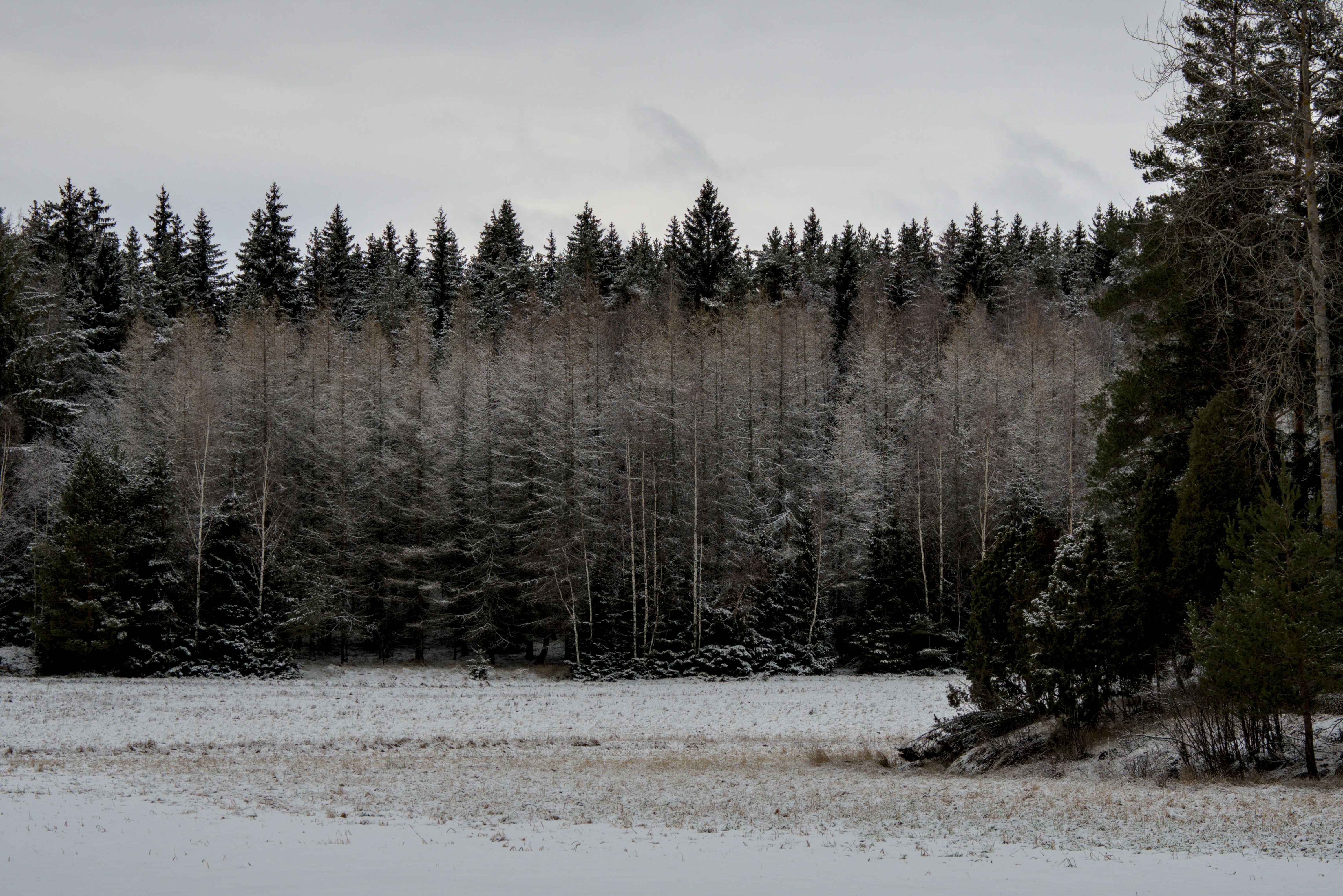 Photo by schneiderhenry