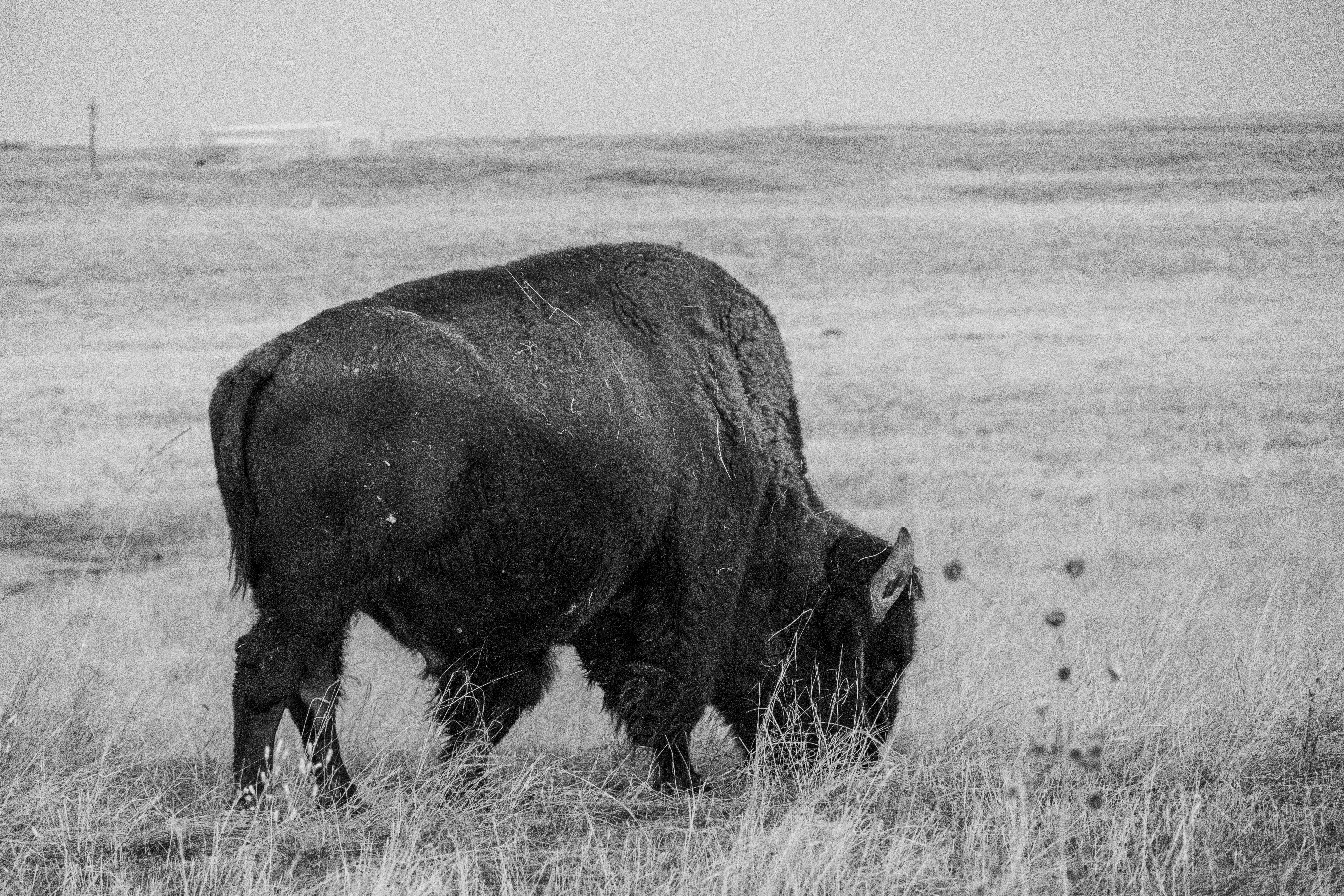 Photo by brandonstoll