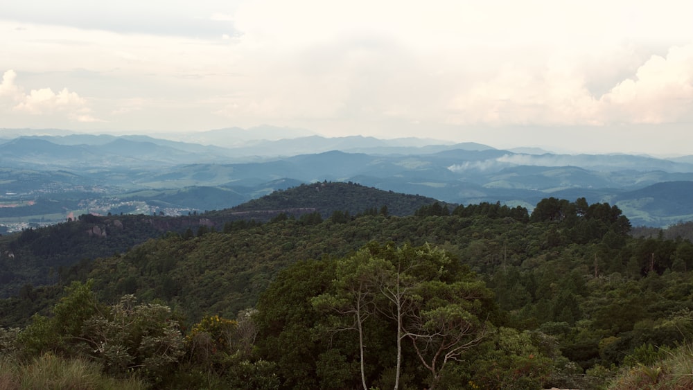 a view of a mountain range with trees and mountains in the background