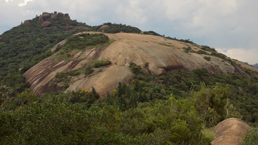 a large rock with trees on top of it