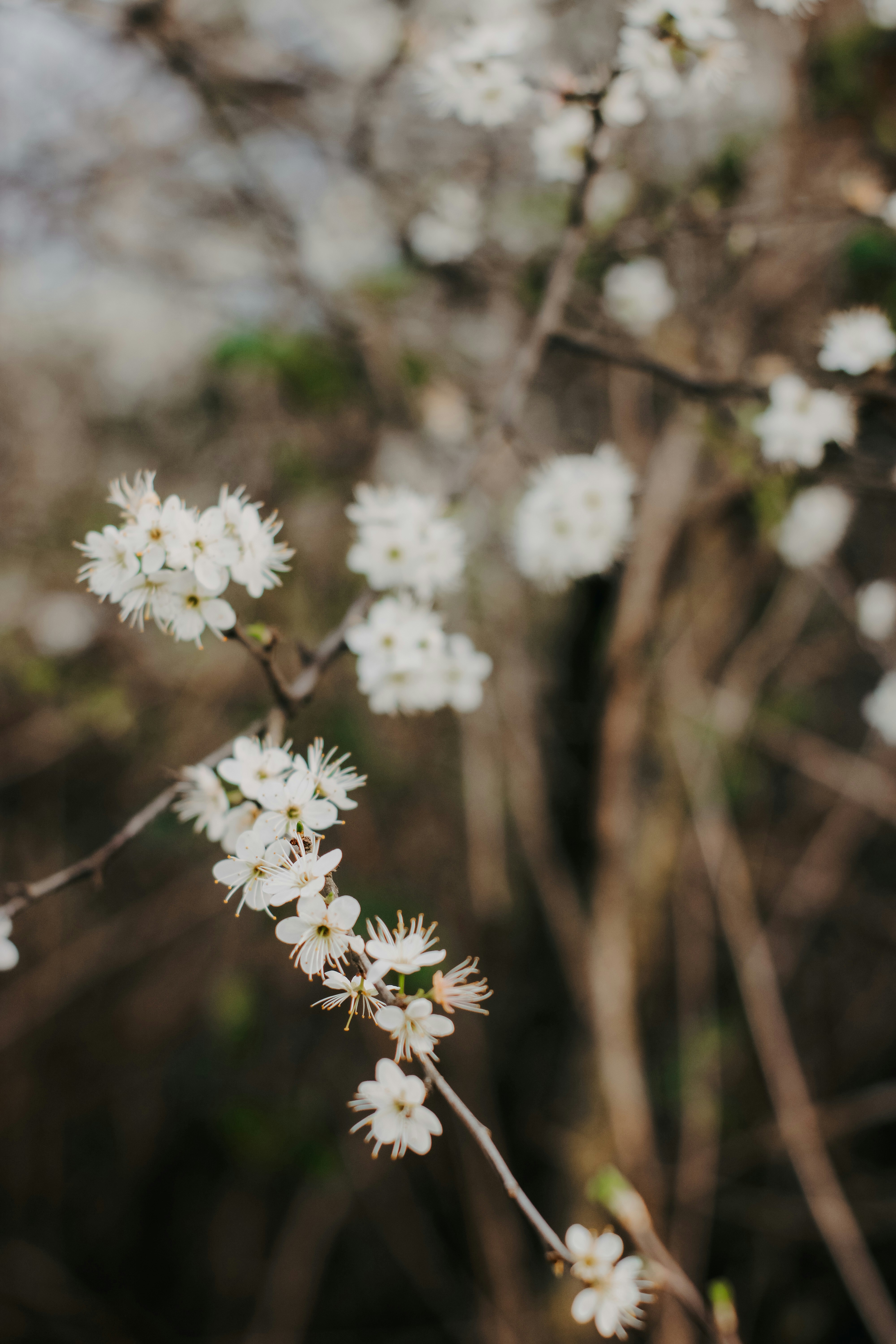 Photo by natinati