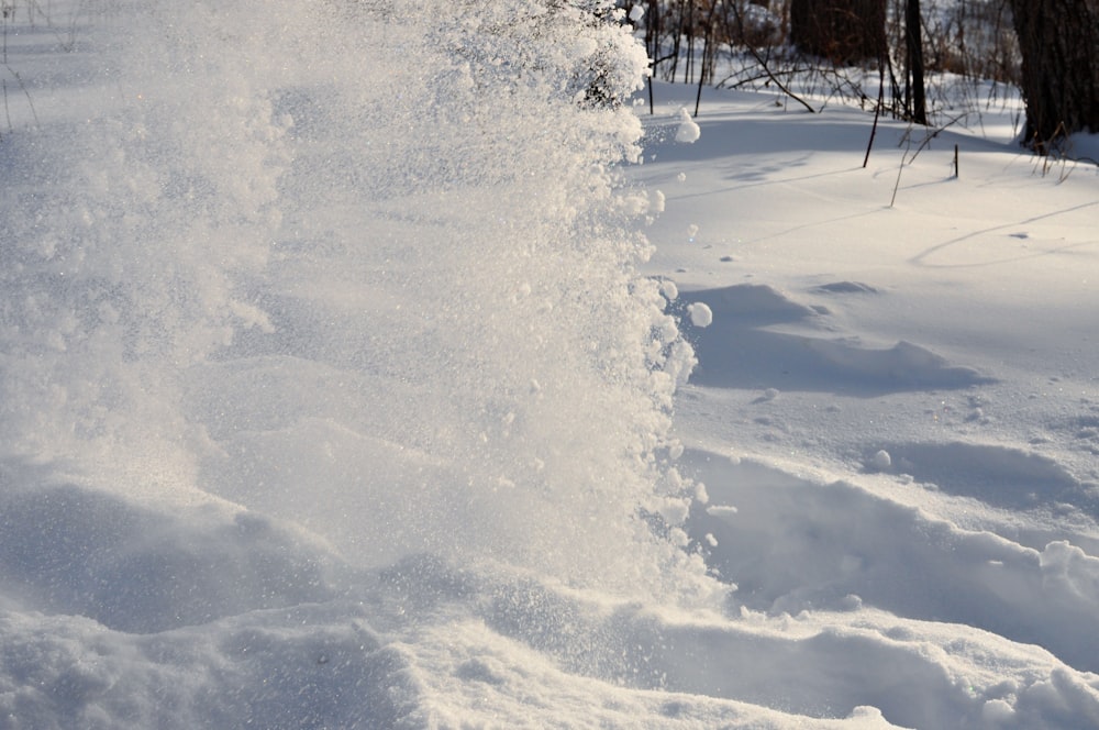 a person riding skis on a snowy surface