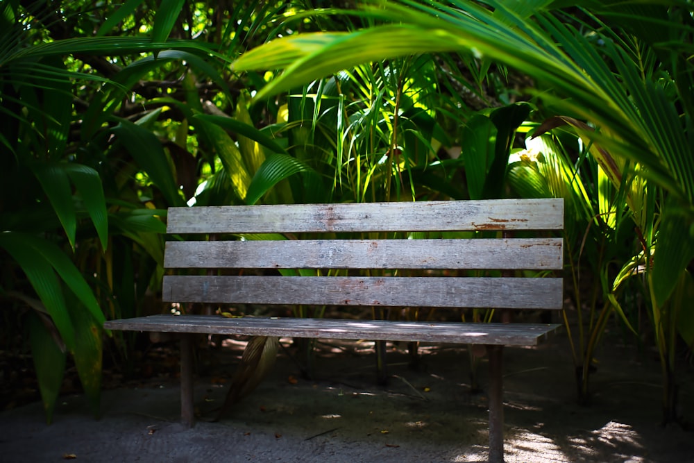 a wooden bench sitting in the middle of a forest