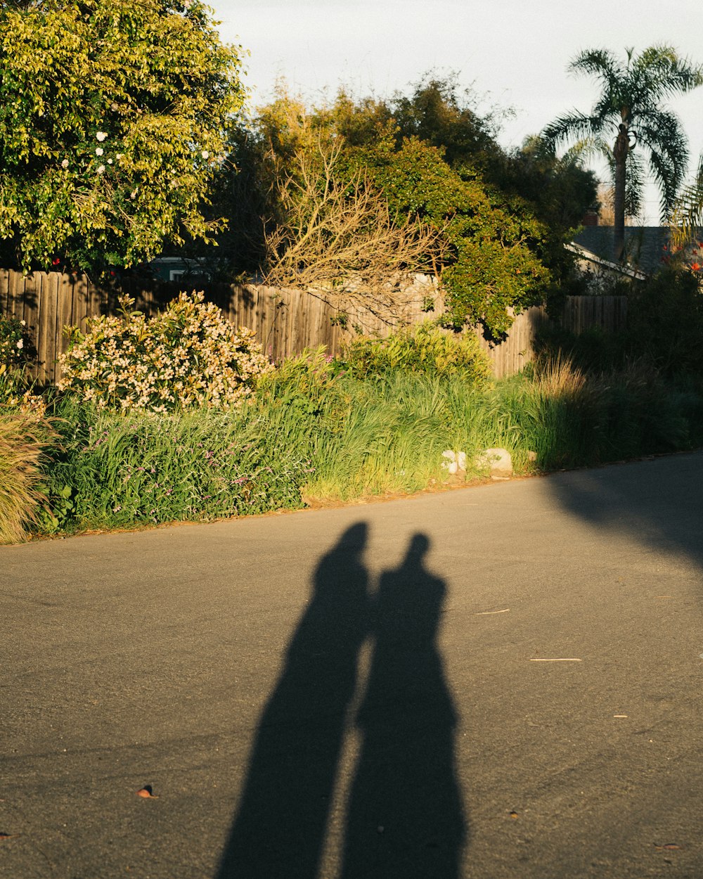 a shadow of two people riding a skateboard down a street