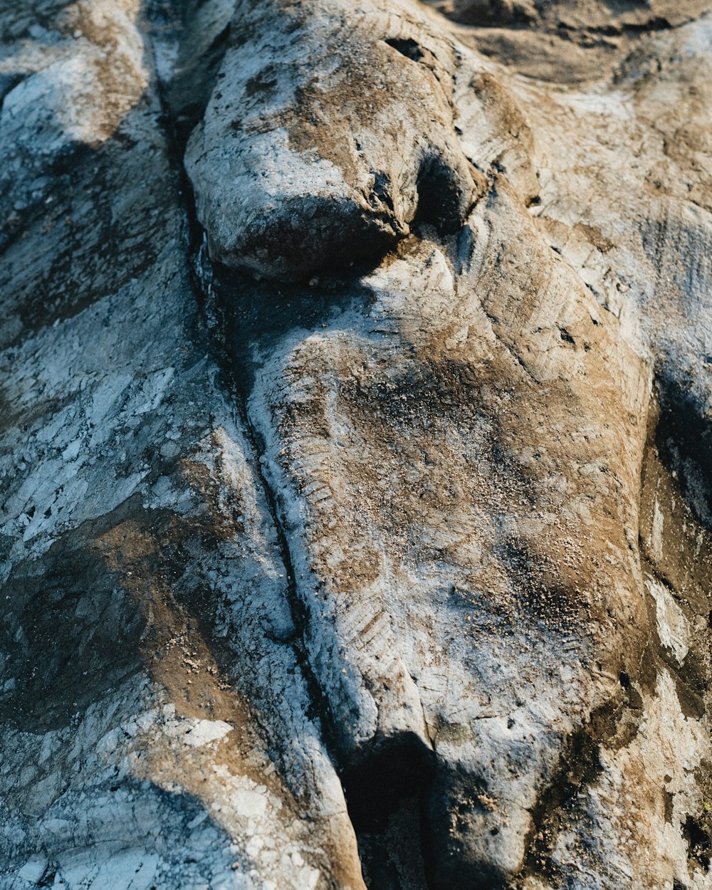 a close up of a rock with a bird perched on top of it