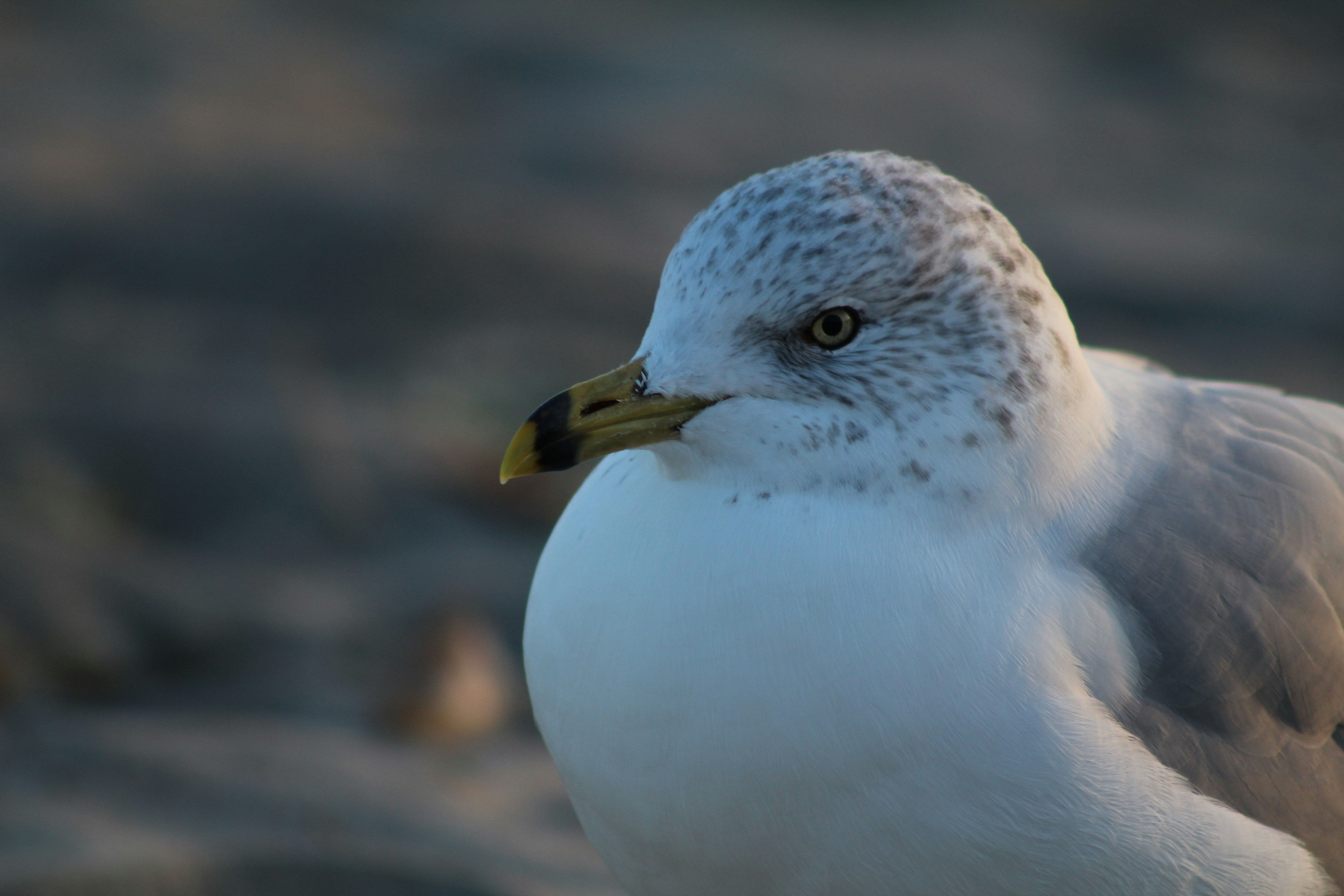 Photo by mario_ghio_neto